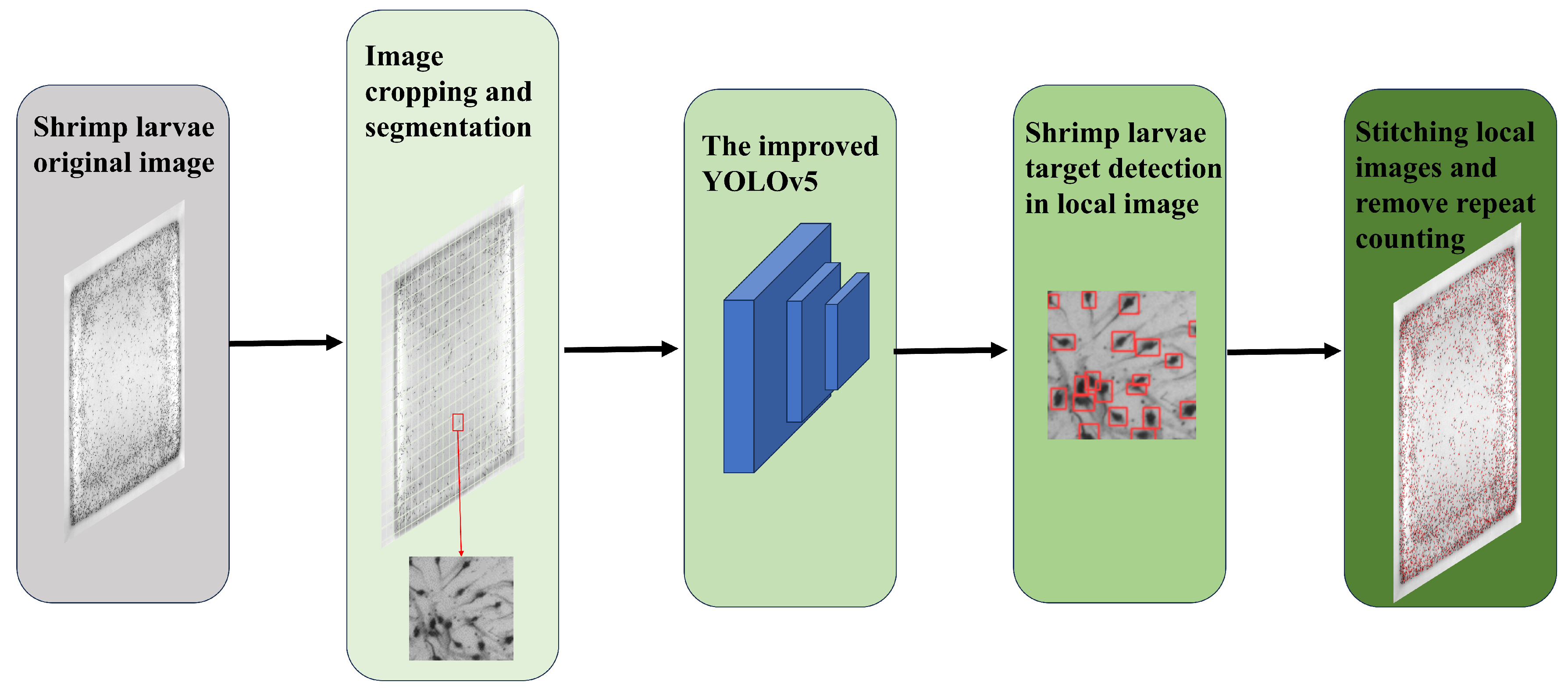 Sensors 24 06328 g002