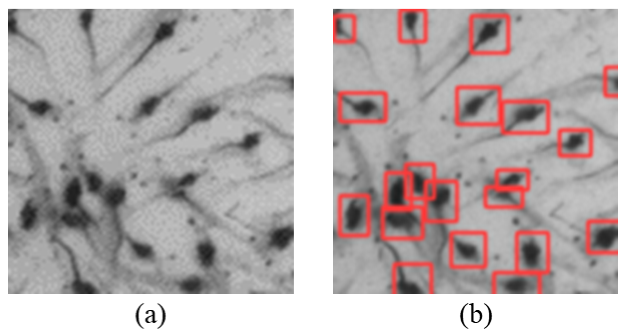 Sensors 24 06328 g017