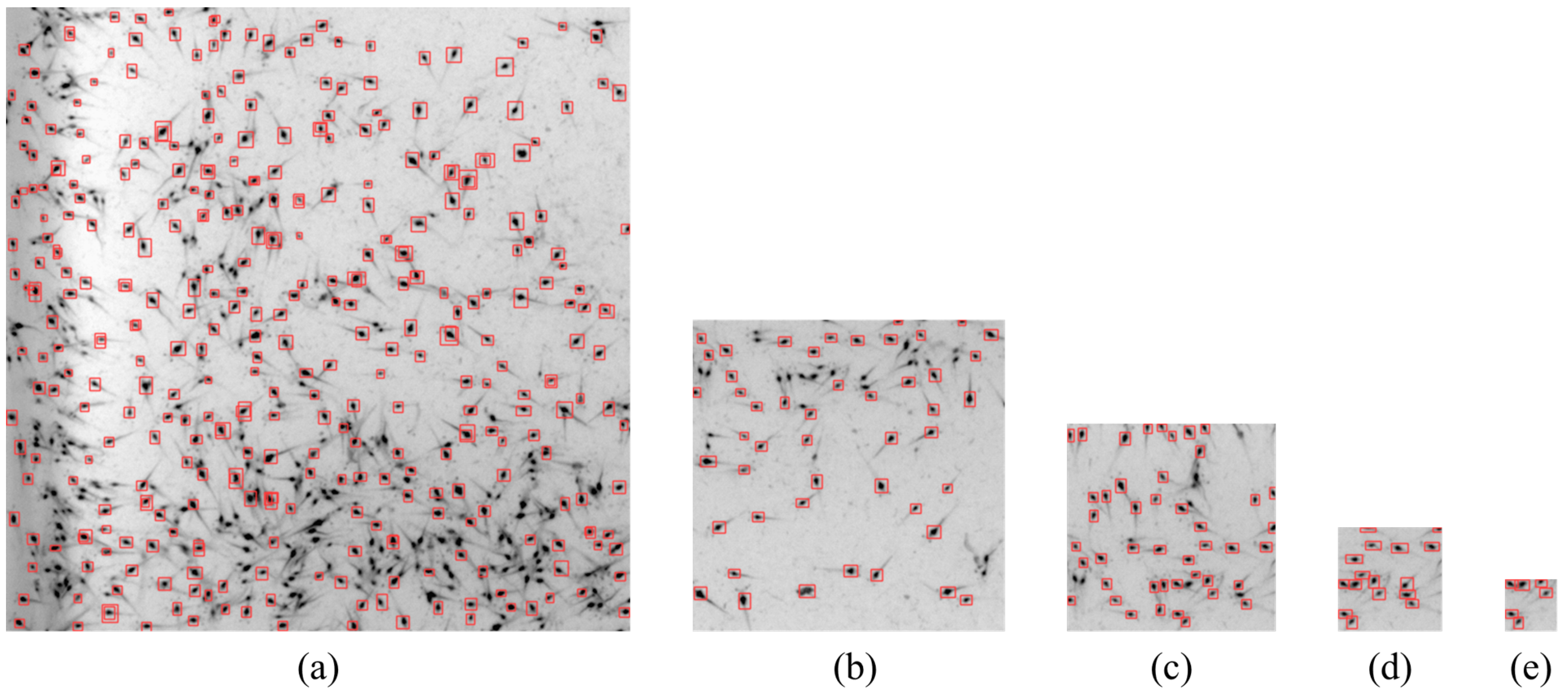 Sensors 24 06328 g021