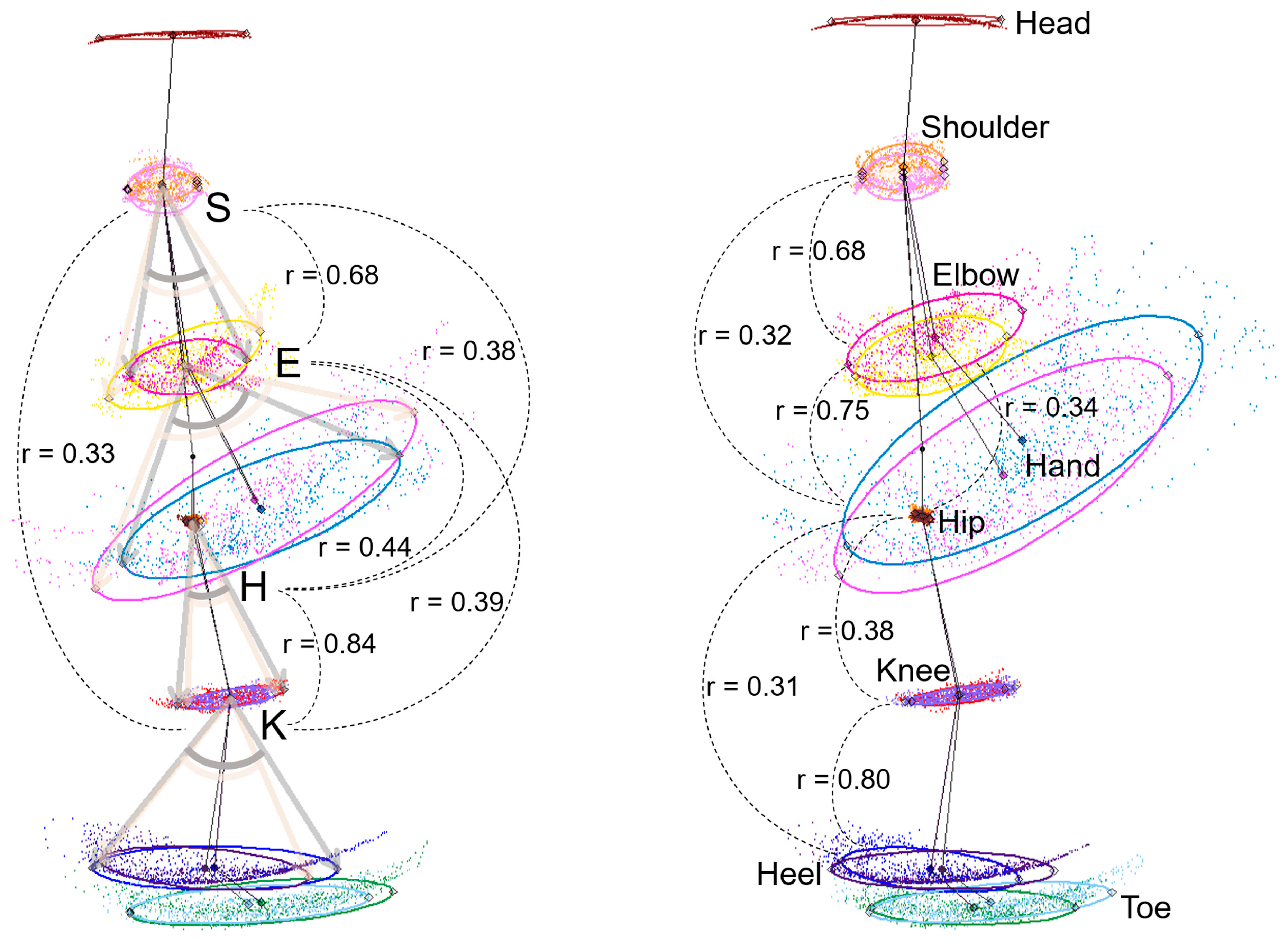 Sensors 24 06329 g007