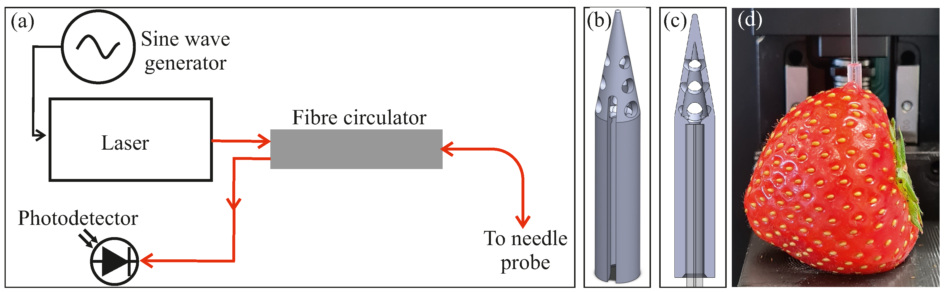 Sensors 24 06336 g001