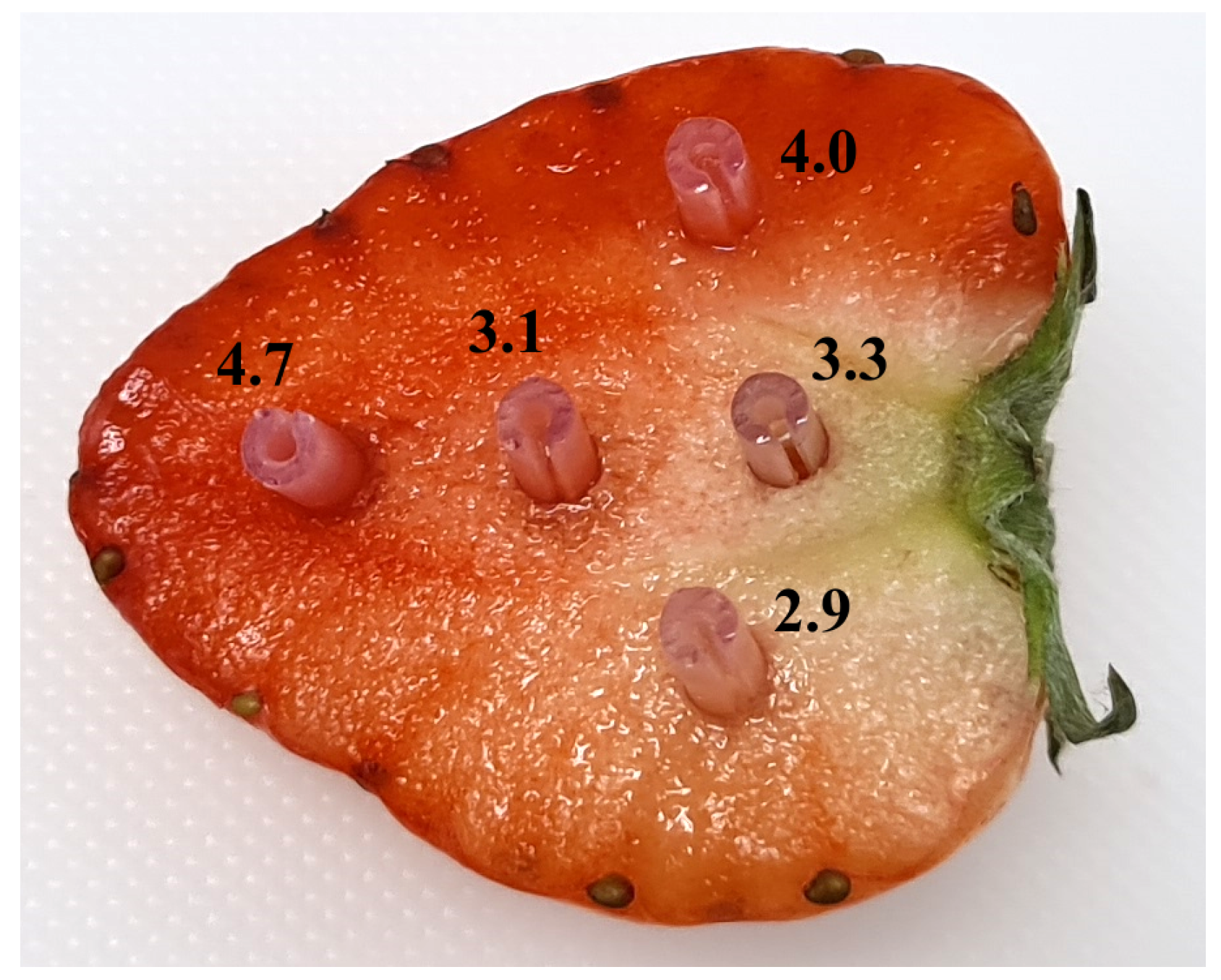 Sensors 24 06336 g004