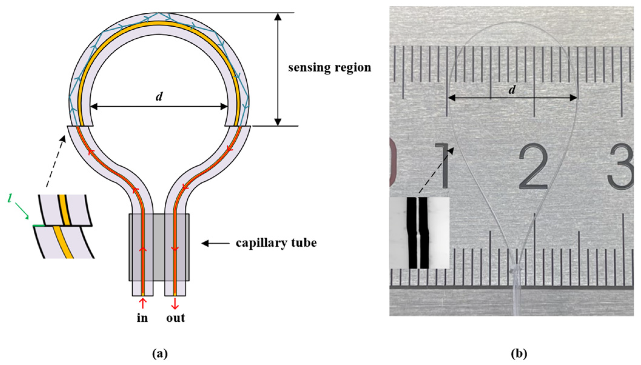 Sensors 24 06344 g001