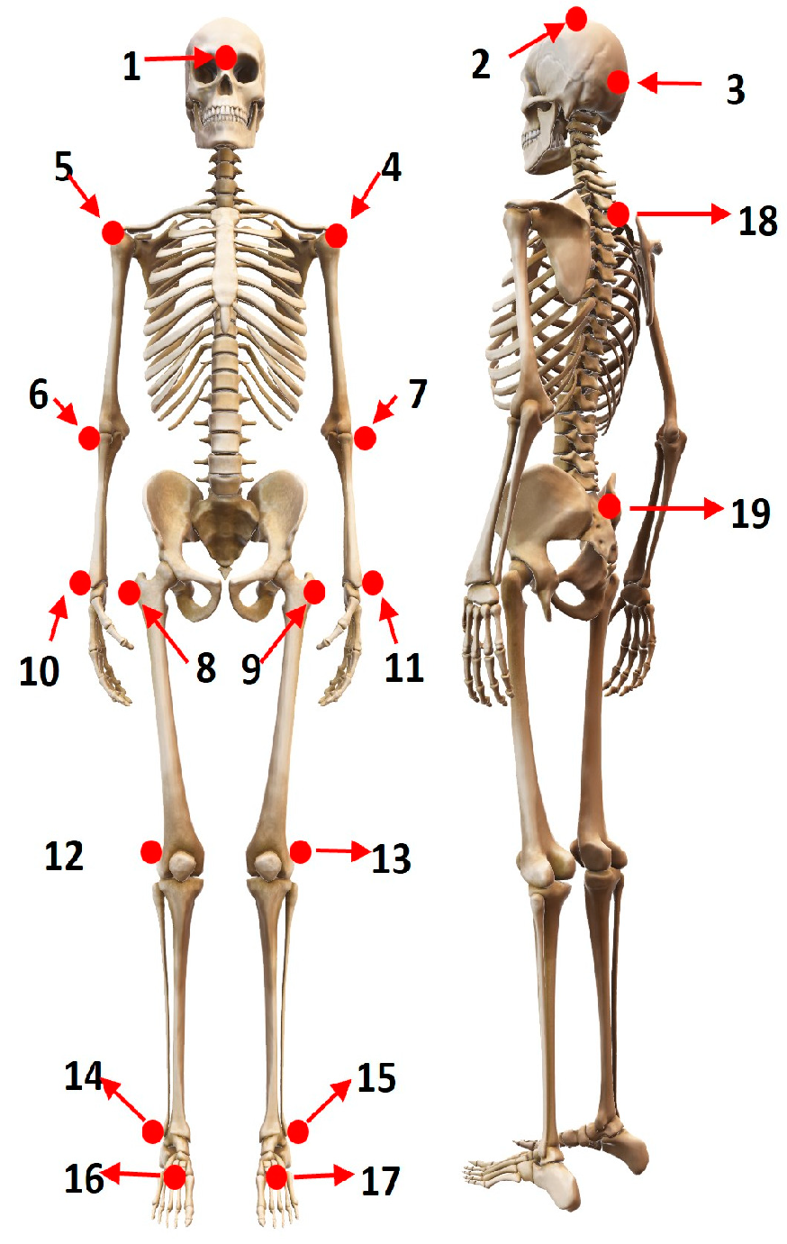 Sensors 24 06351 g001