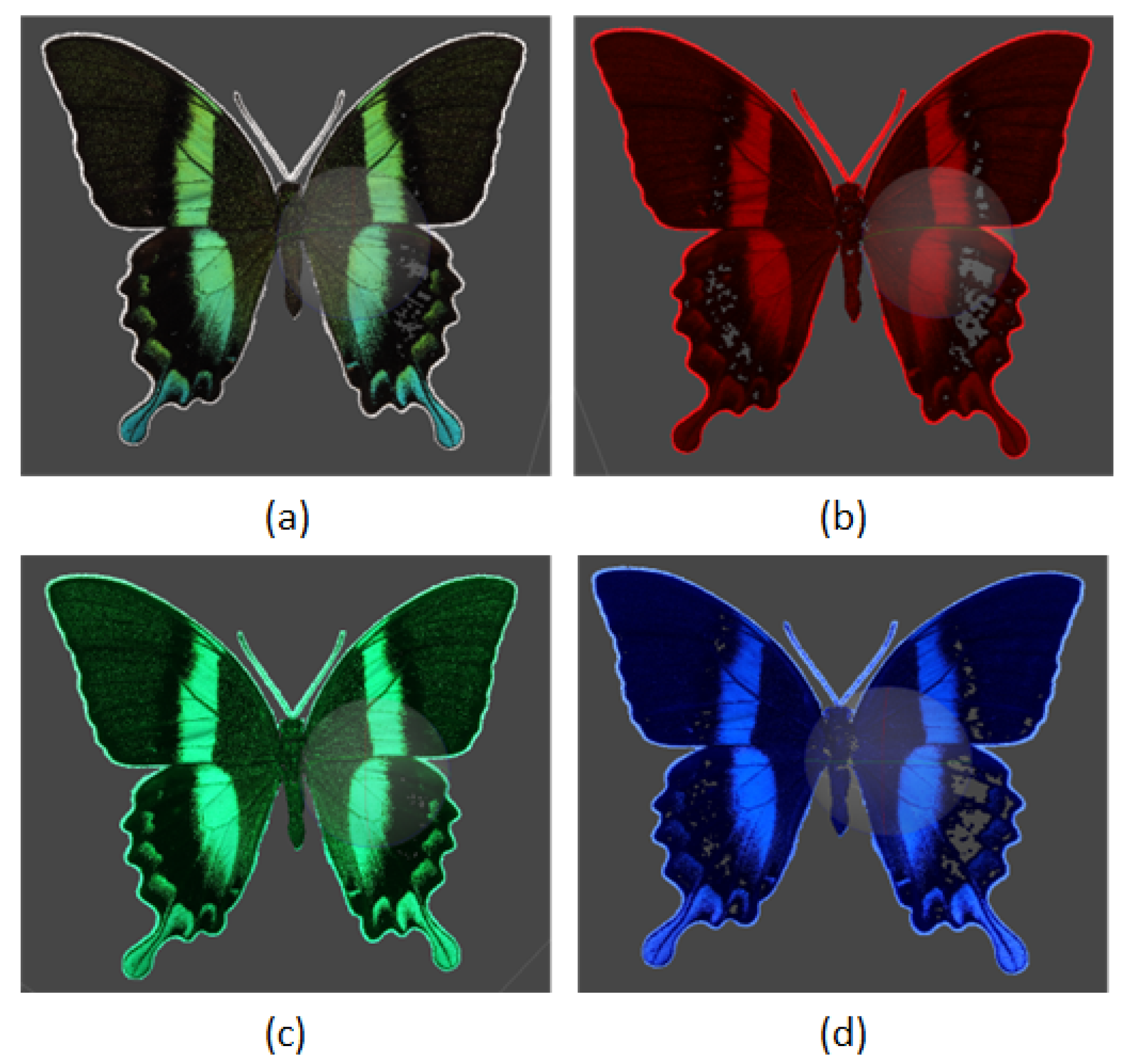 Sensors 24 06352 g013