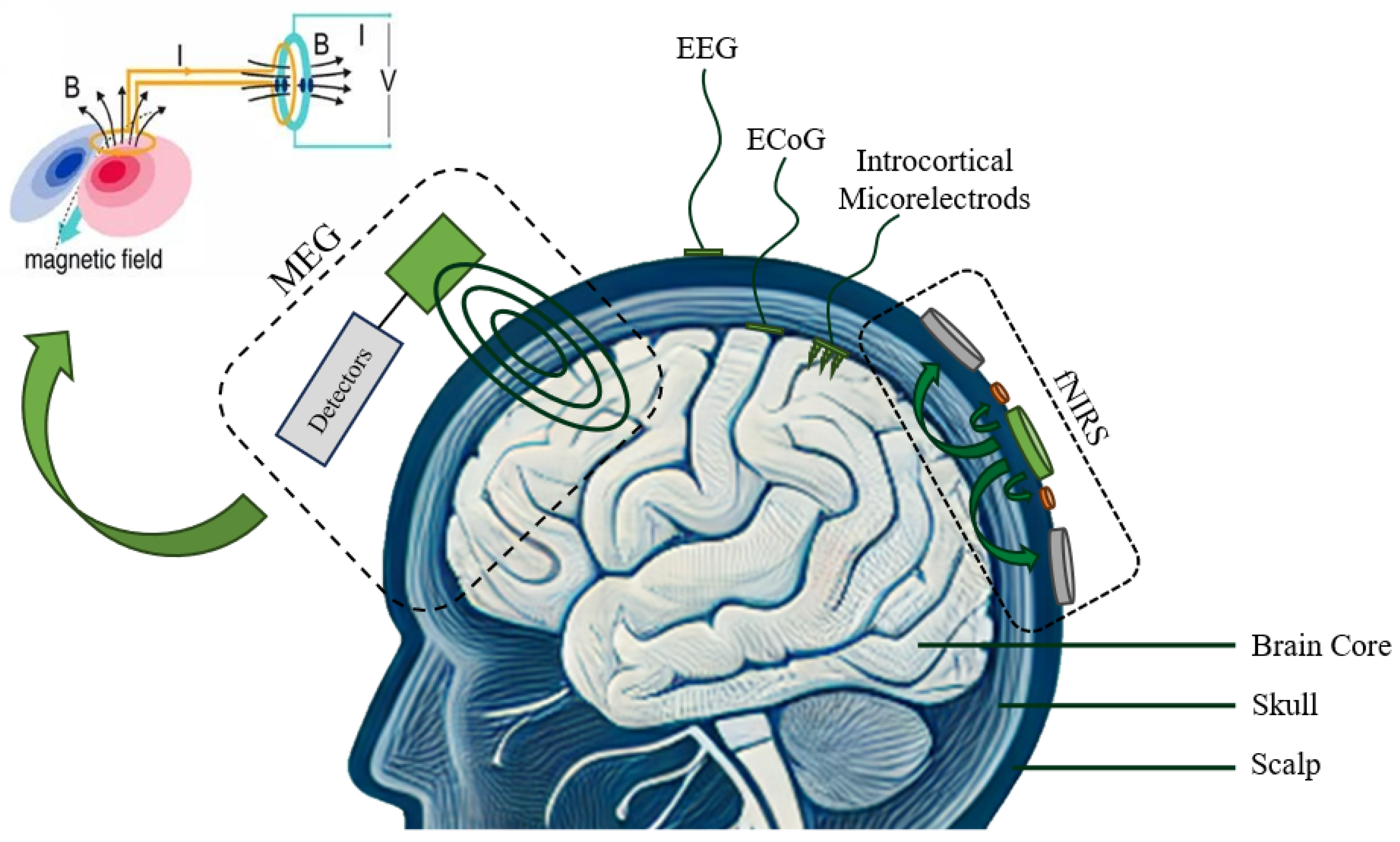 Sensors 24 06353 g006