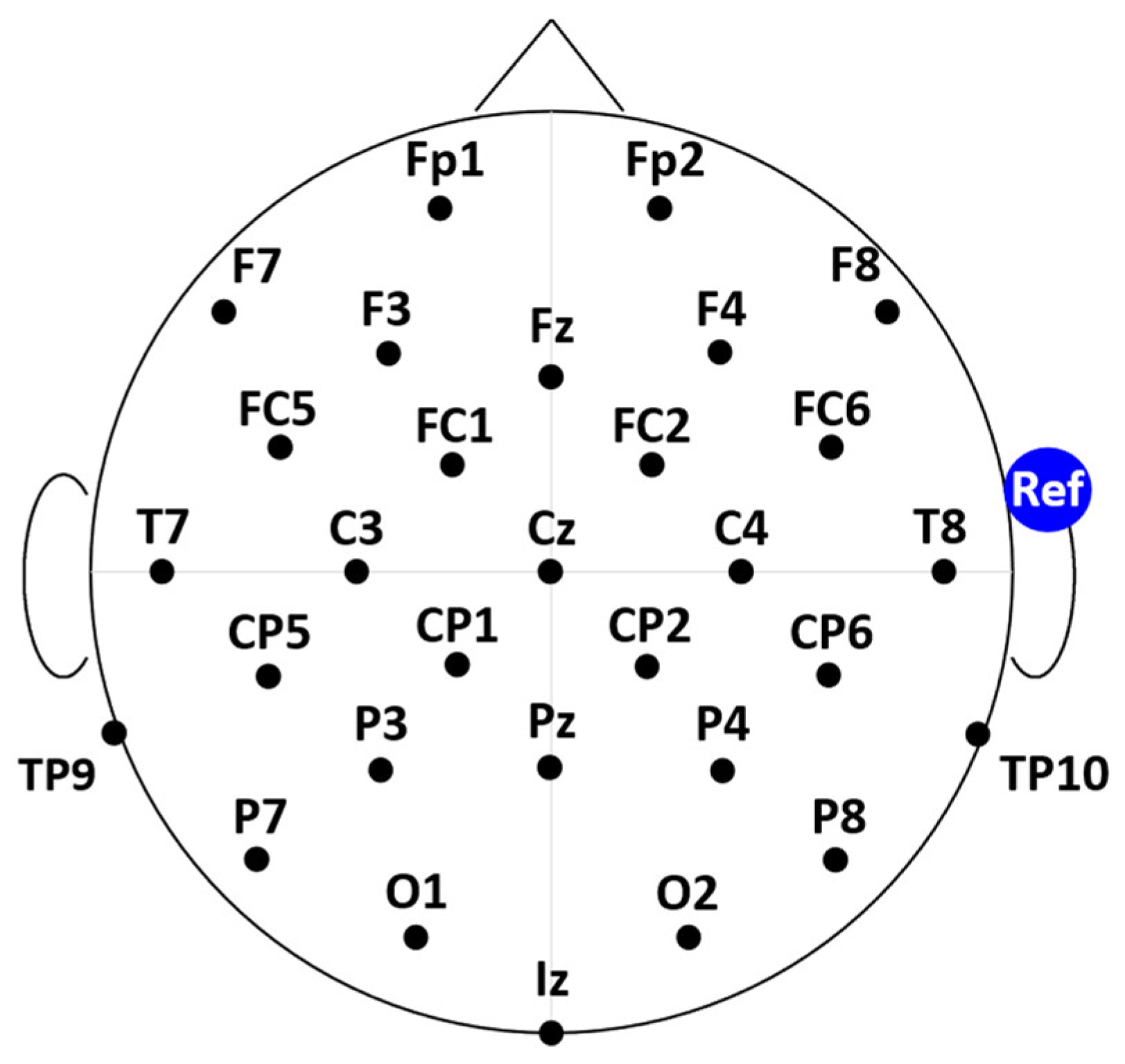 Sensors 24 06363 g010