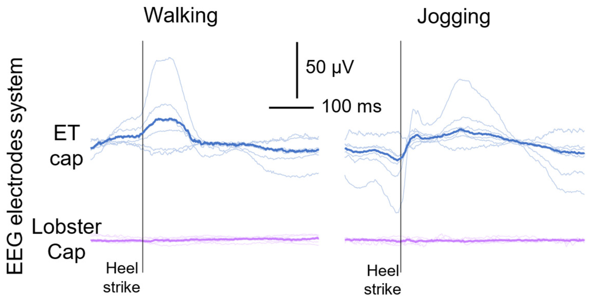 Sensors 24 06363 g014