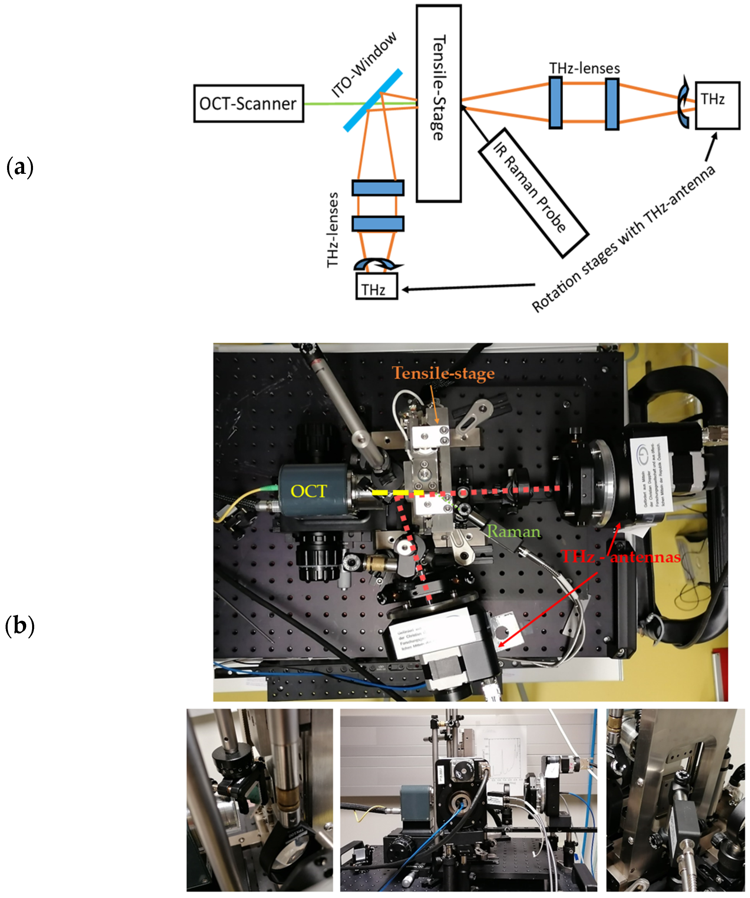 Sensors 24 06367 g004