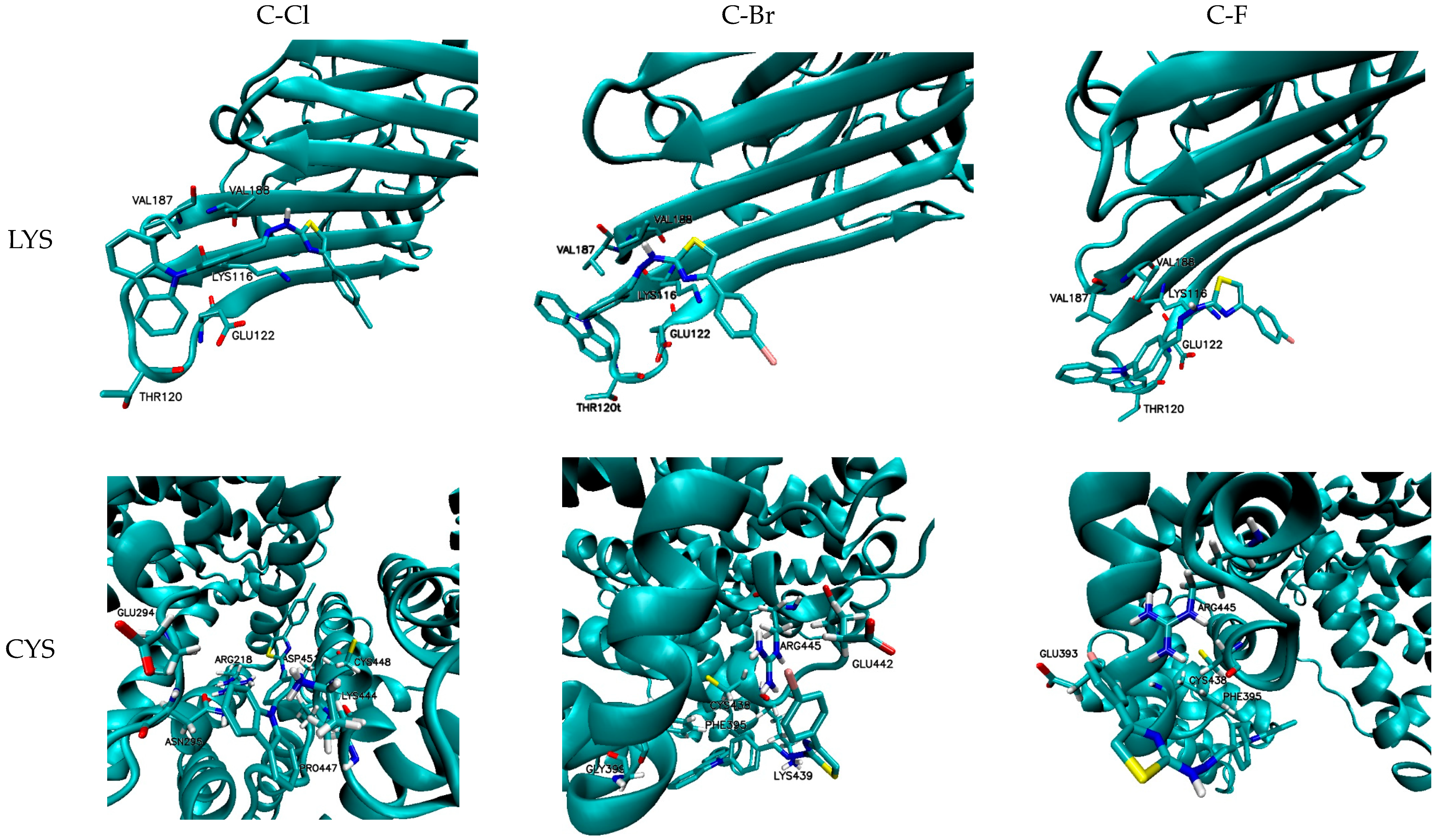 Sensors 24 06368 g007