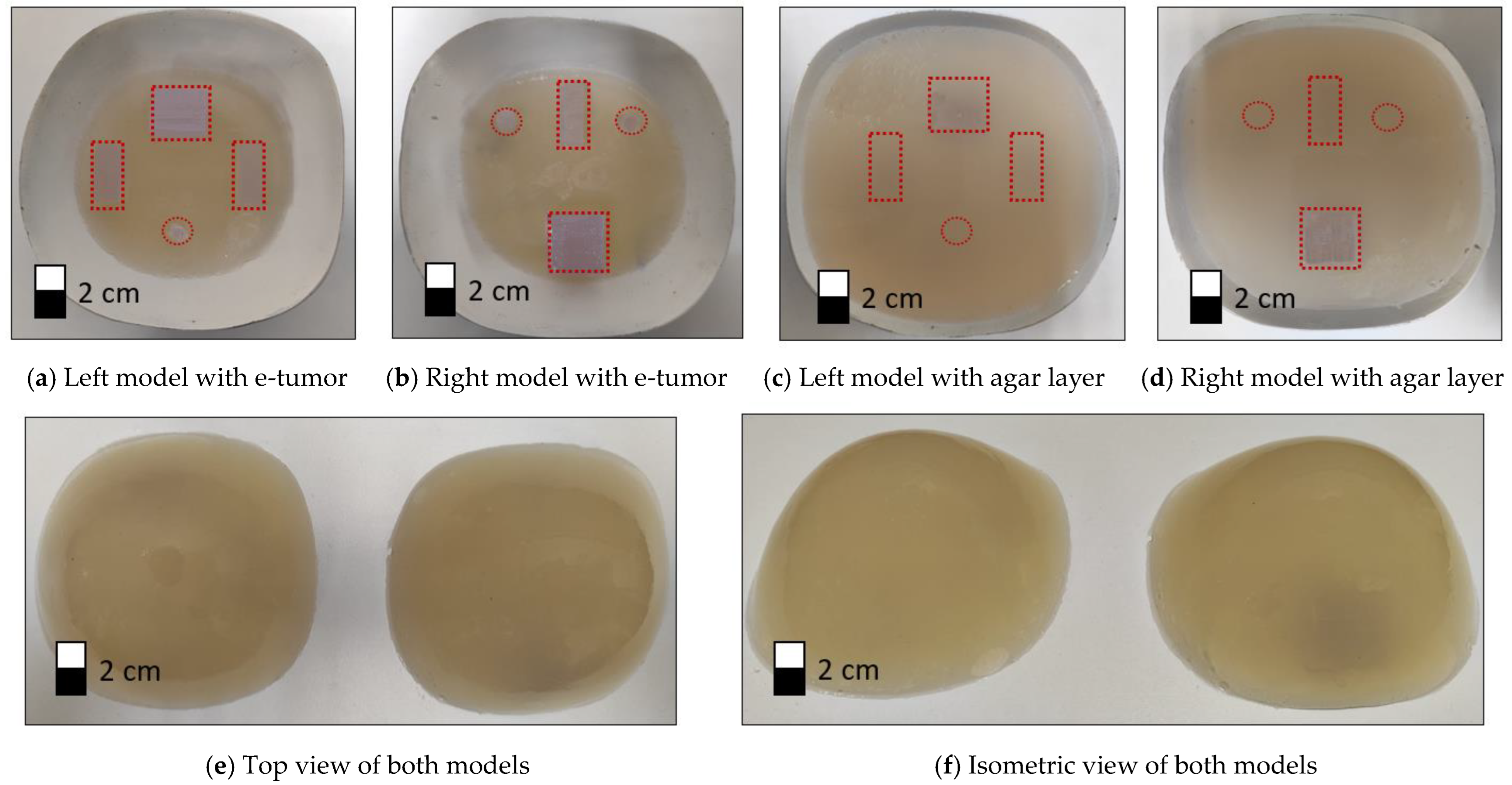 Sensors 24 06370 g009