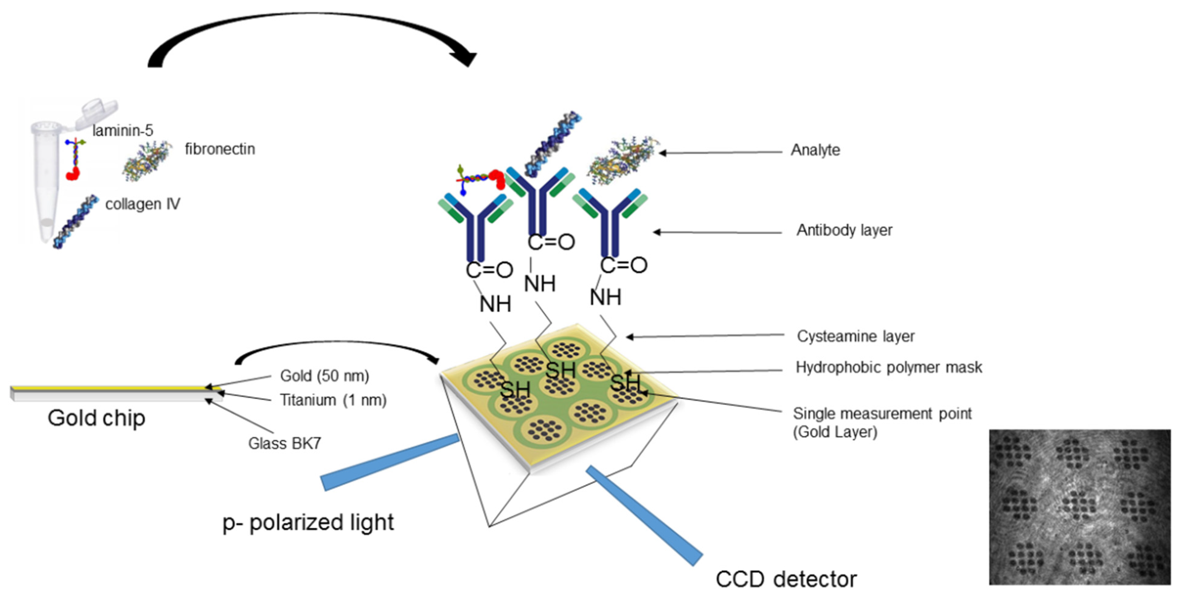 Sensors 24 06371 g001 Sensors 24 06371 g001
