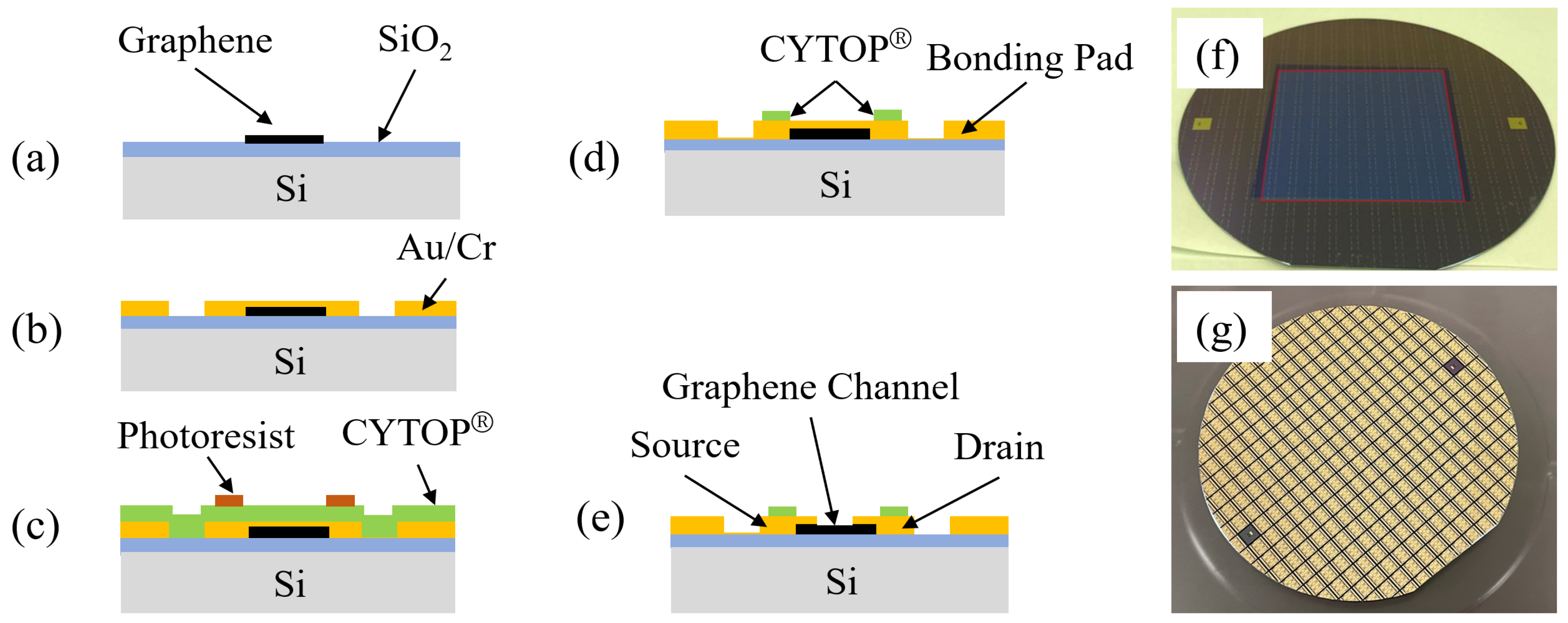 Sensors 24 06376 g002