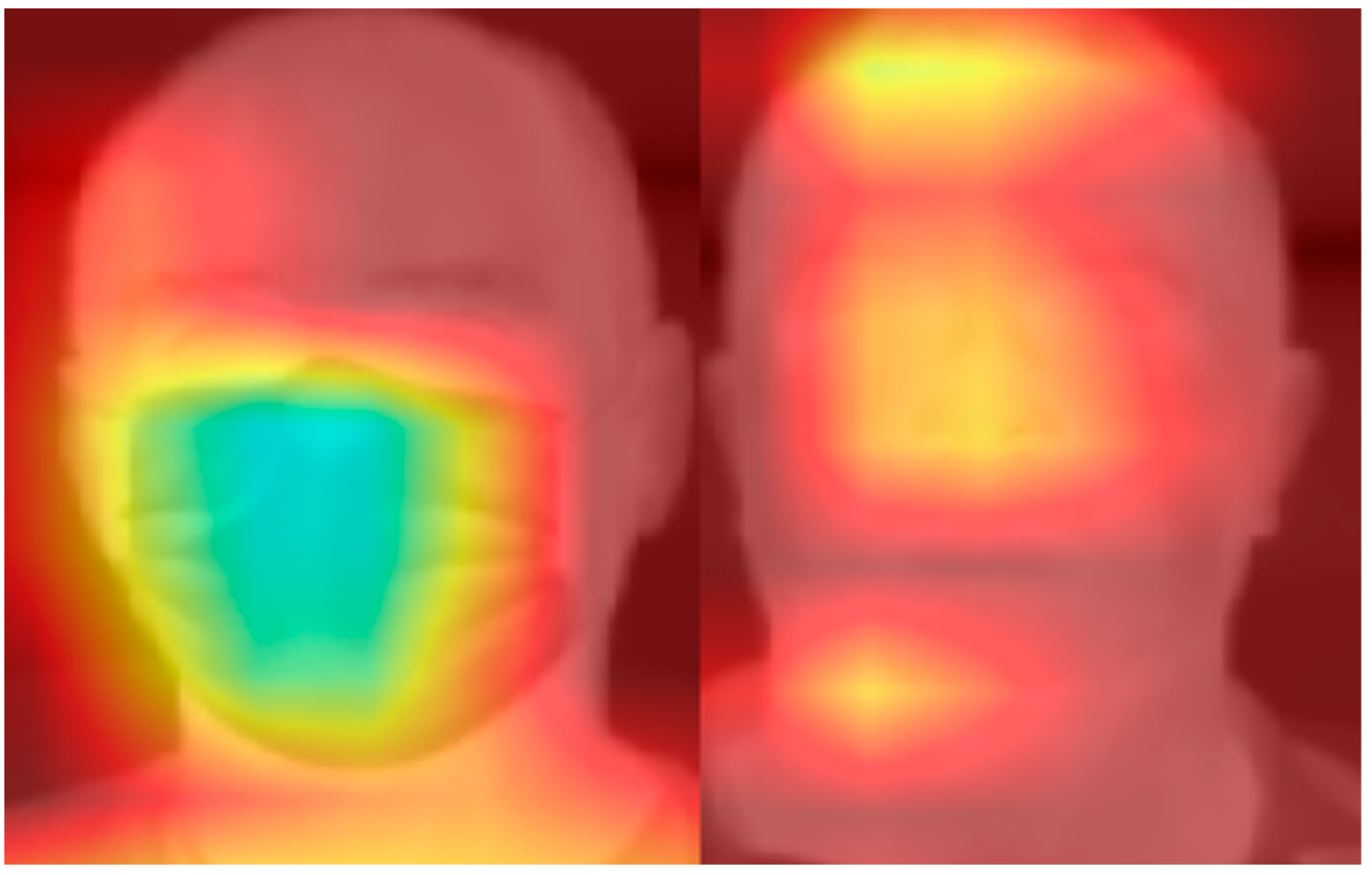 Sensors 24 06386 g006