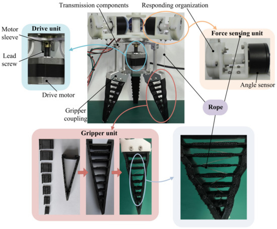 Design and Experimental Test of Rope-Driven Force Sensing