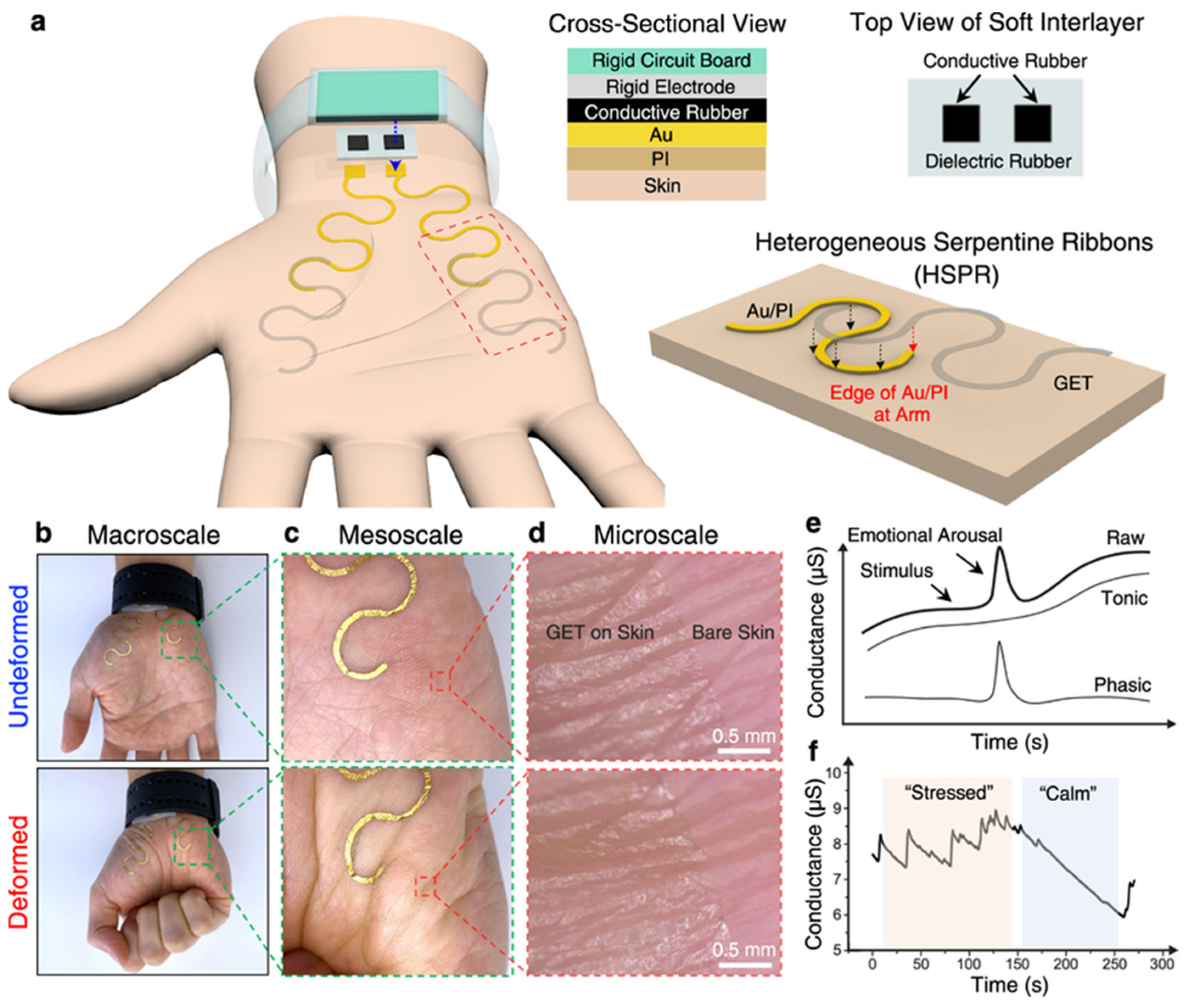 Sensors 24 06426 g008