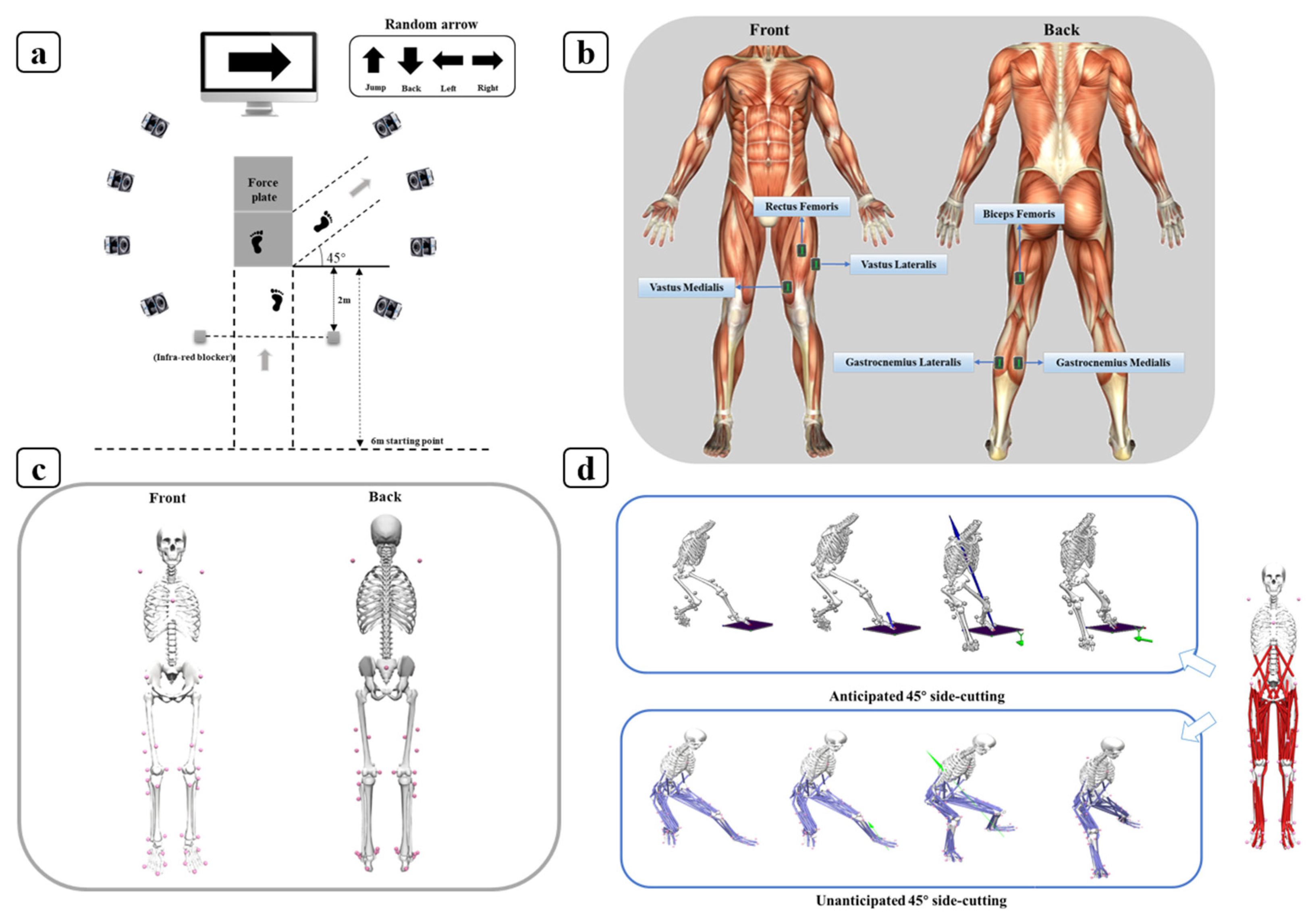 Sensors 24 06427 g001
