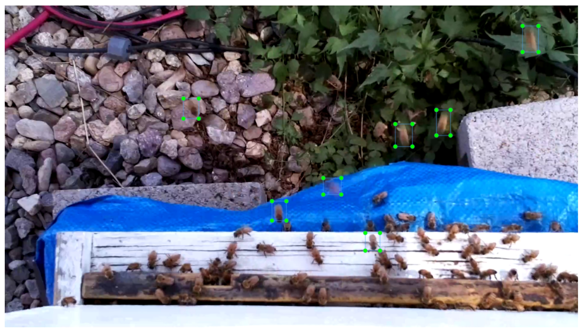 Sensors 24 06433 g0a5