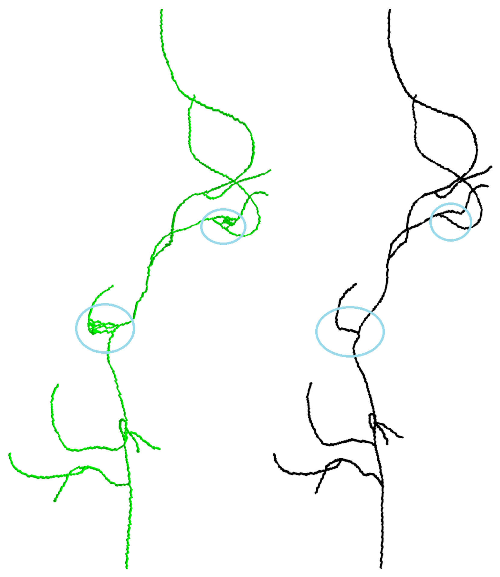 Sensors 24 06441 g003