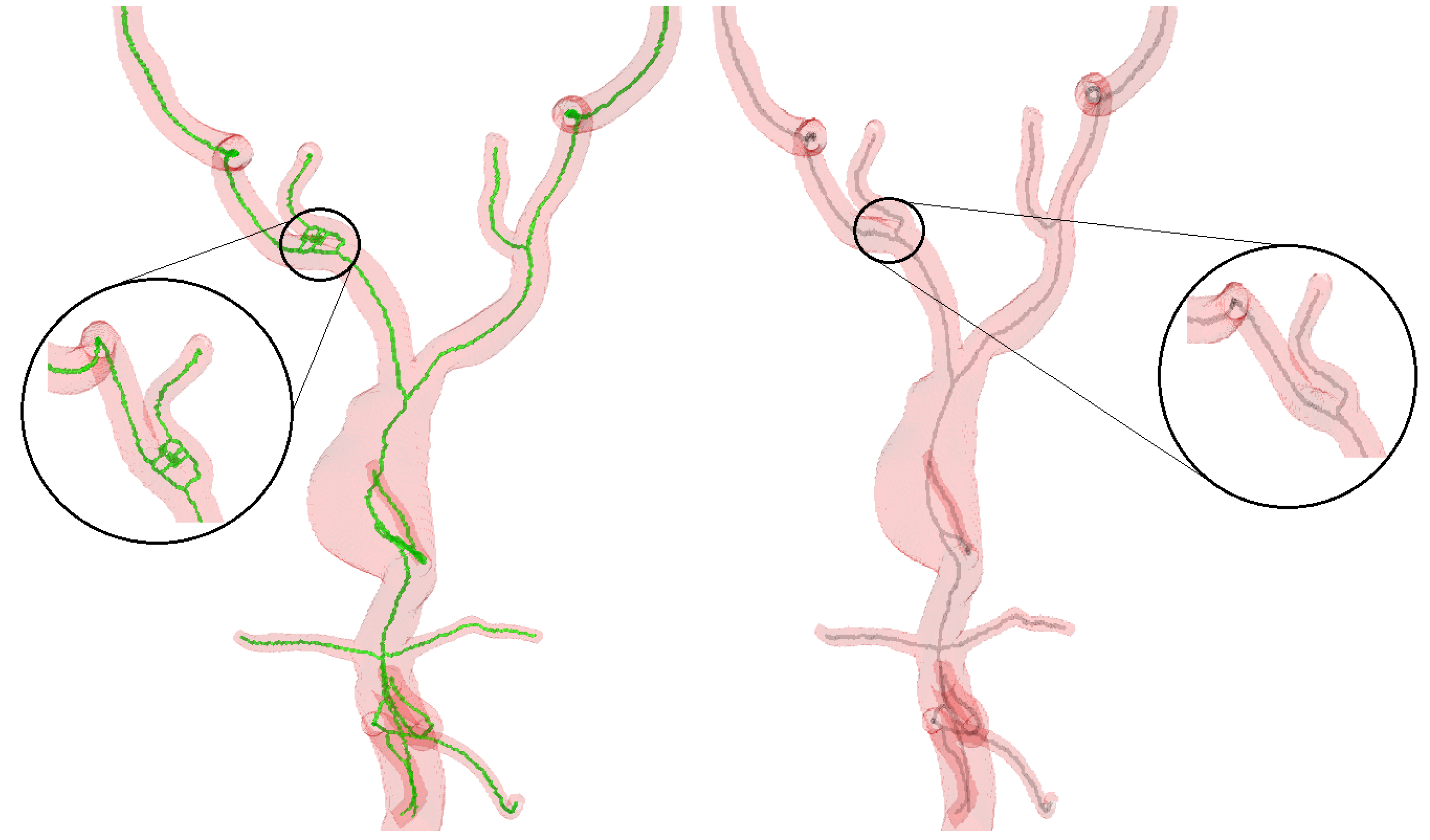 Sensors 24 06441 g007