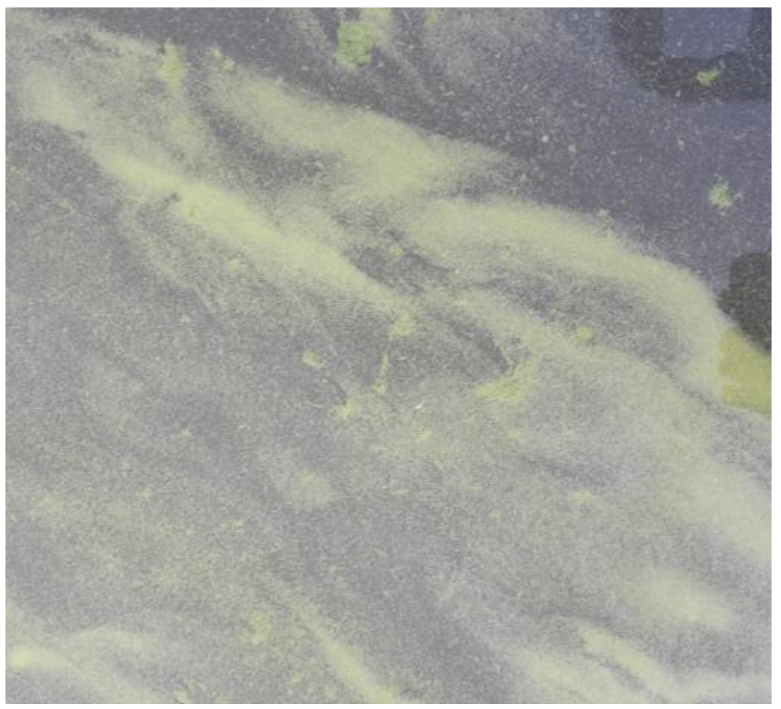 Sensors 24 06445 g012