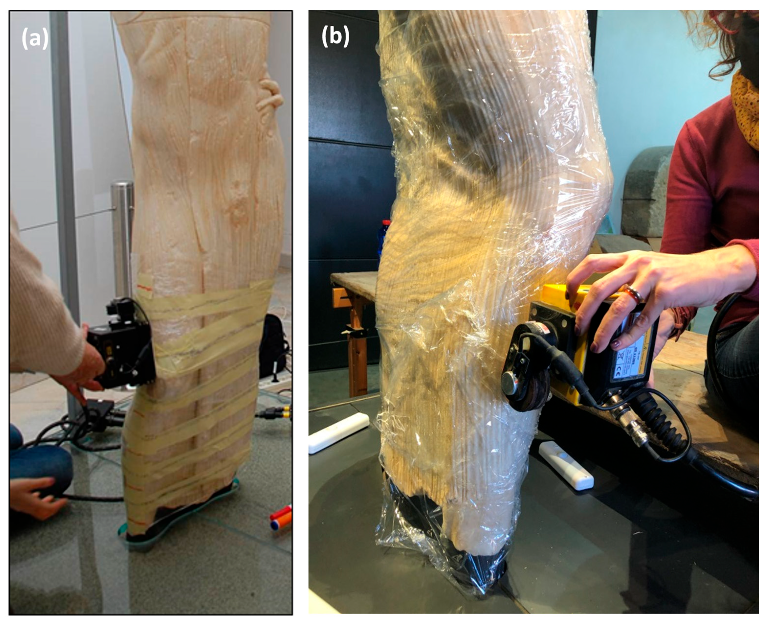 Sensors 24 06450 g004