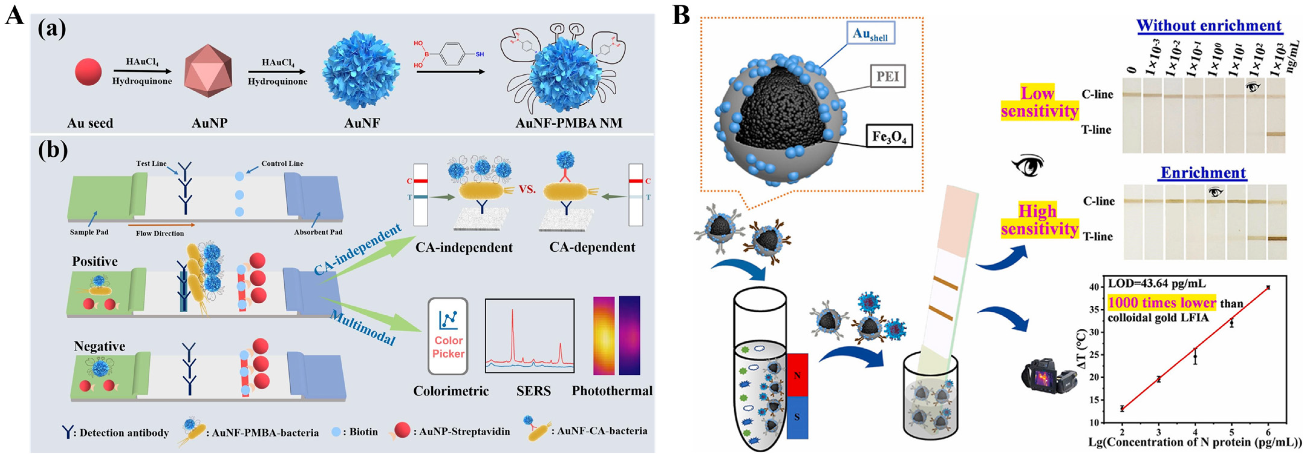Sensors 24 06458 g002