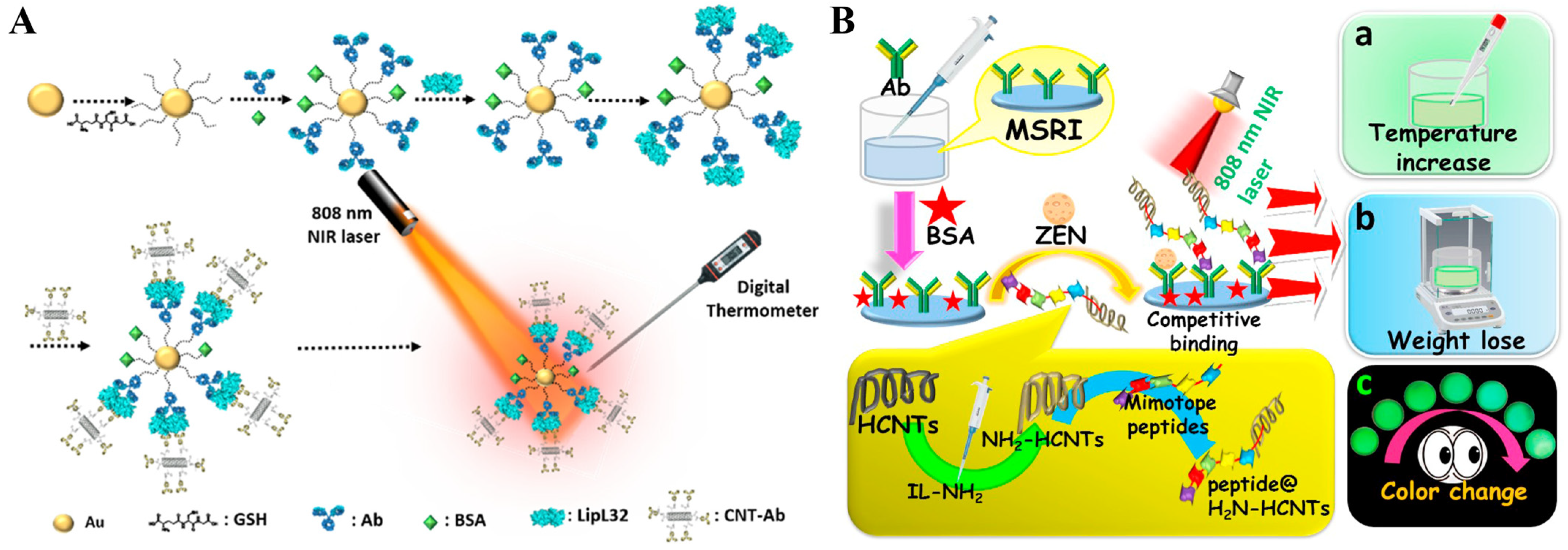 Sensors 24 06458 g006