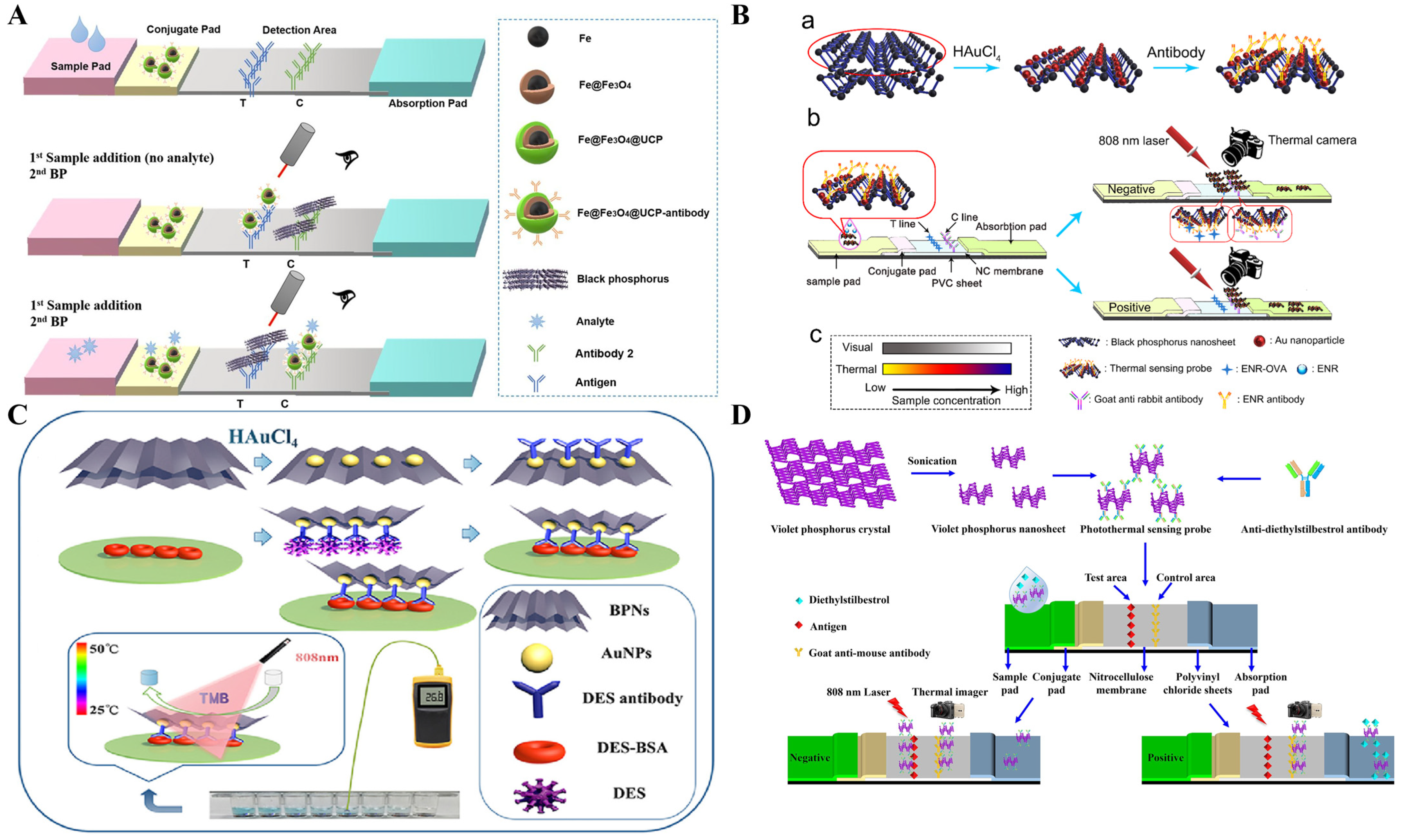Sensors 24 06458 g009