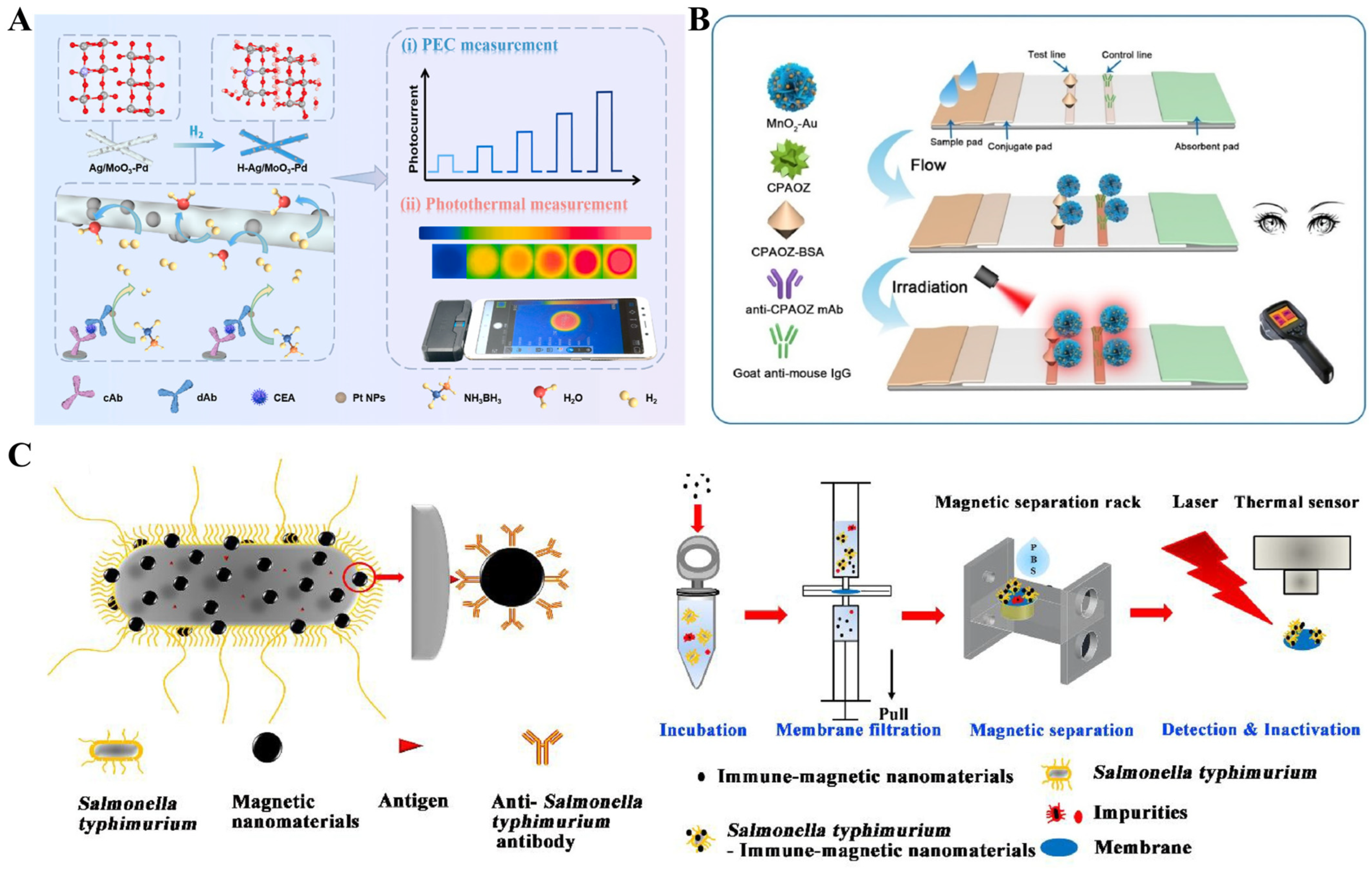 Sensors 24 06458 g012