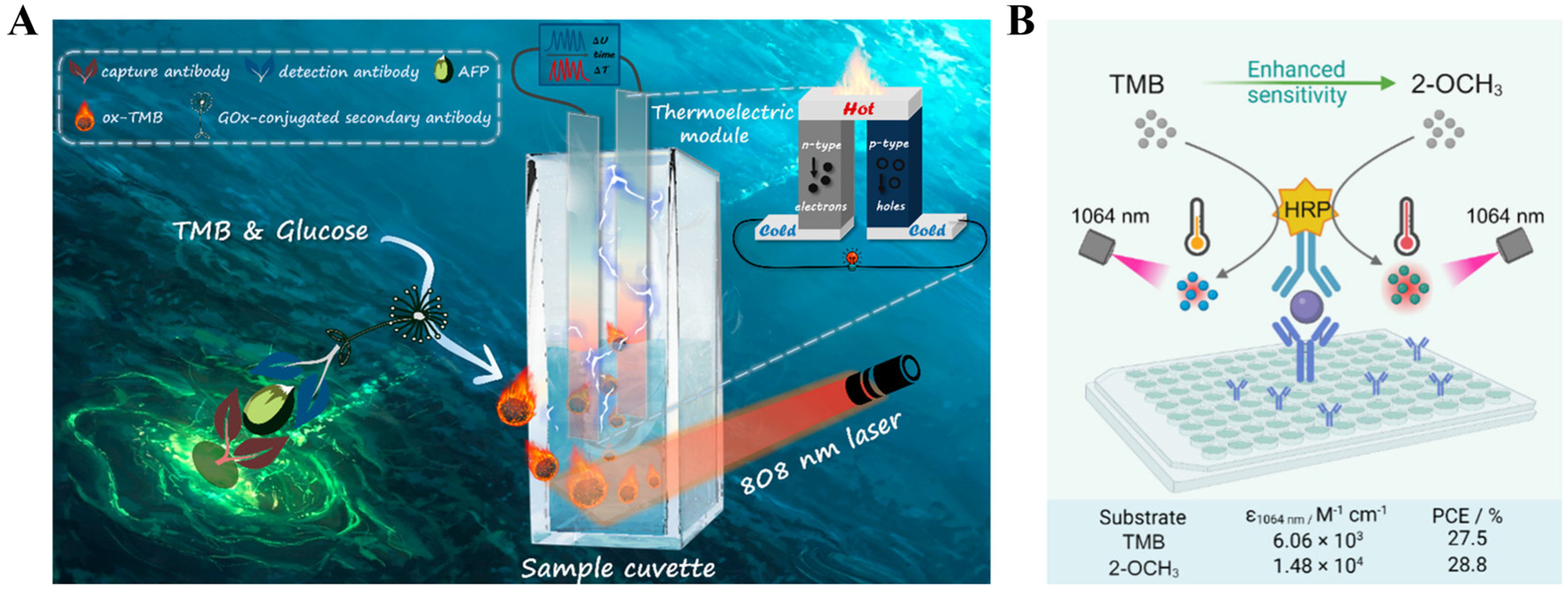 Sensors 24 06458 g017