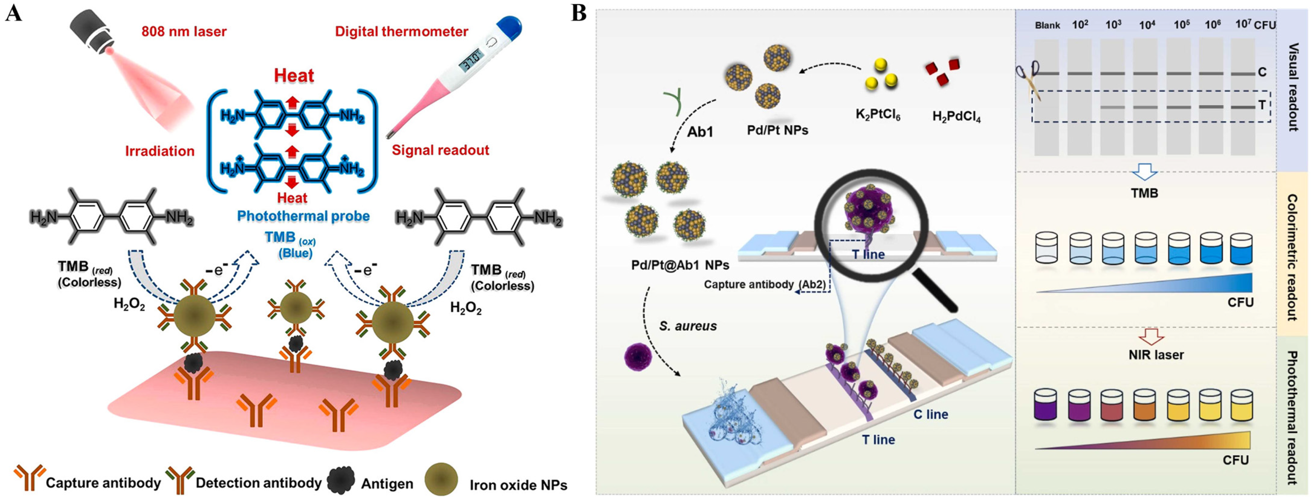 Sensors 24 06458 g018
