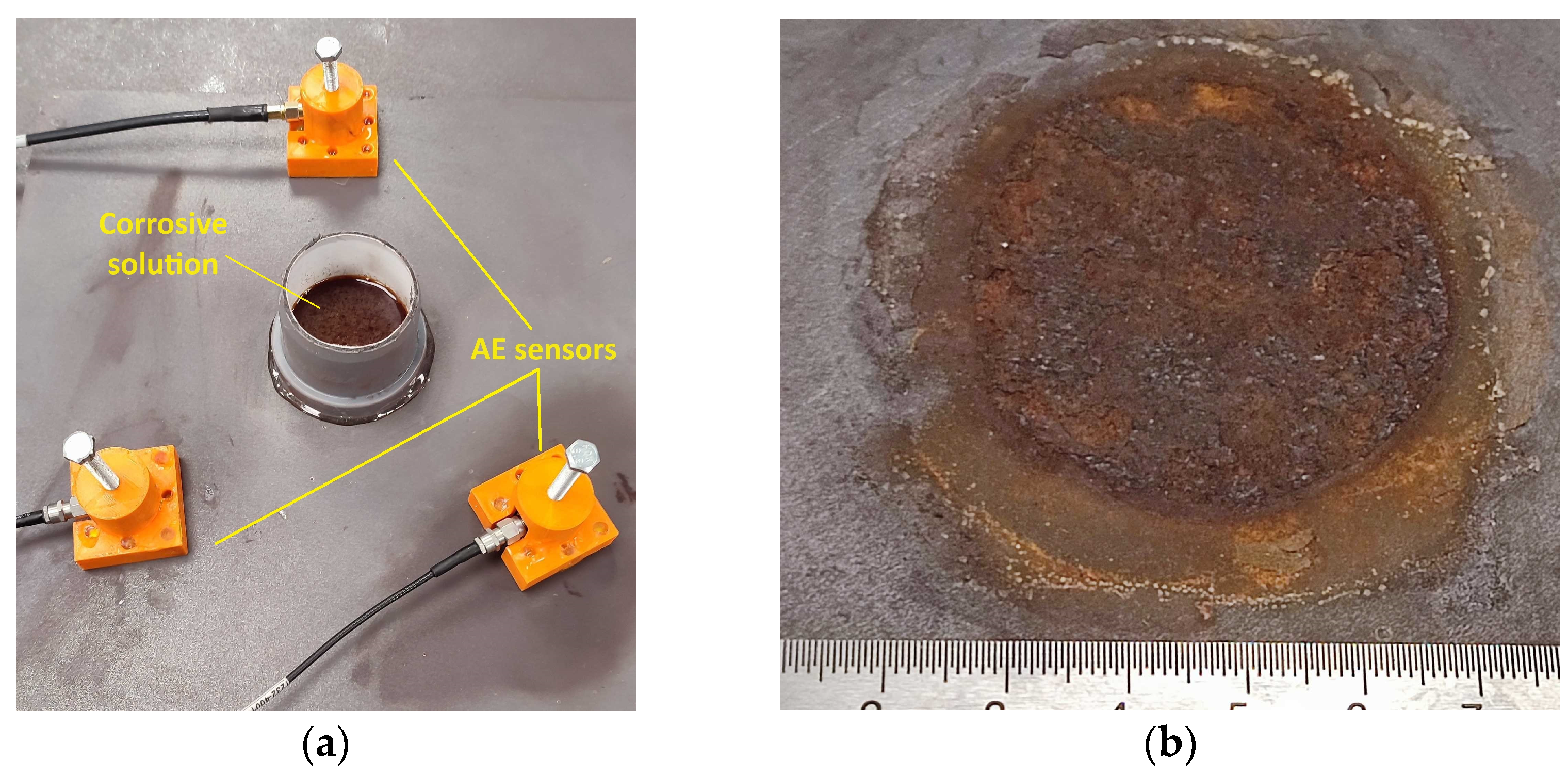 Sensors 24 06462 g002