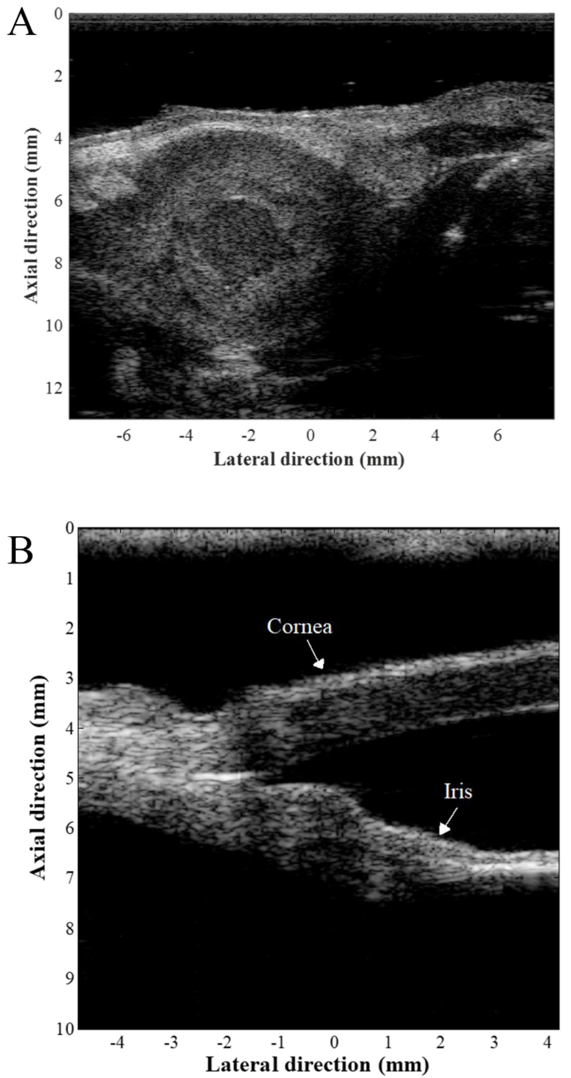 Sensors 24 06471 g002