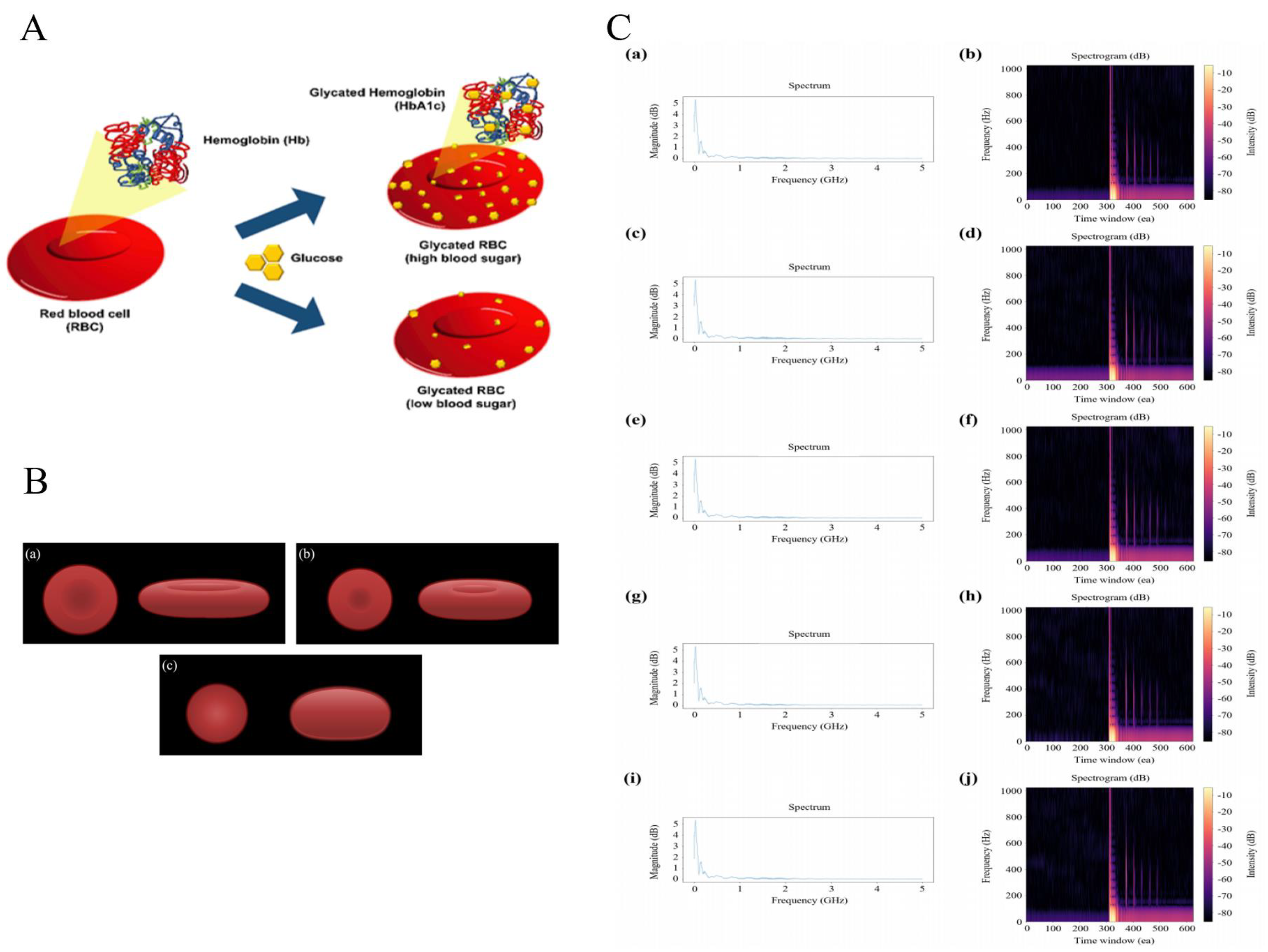 Sensors 24 06471 g004
