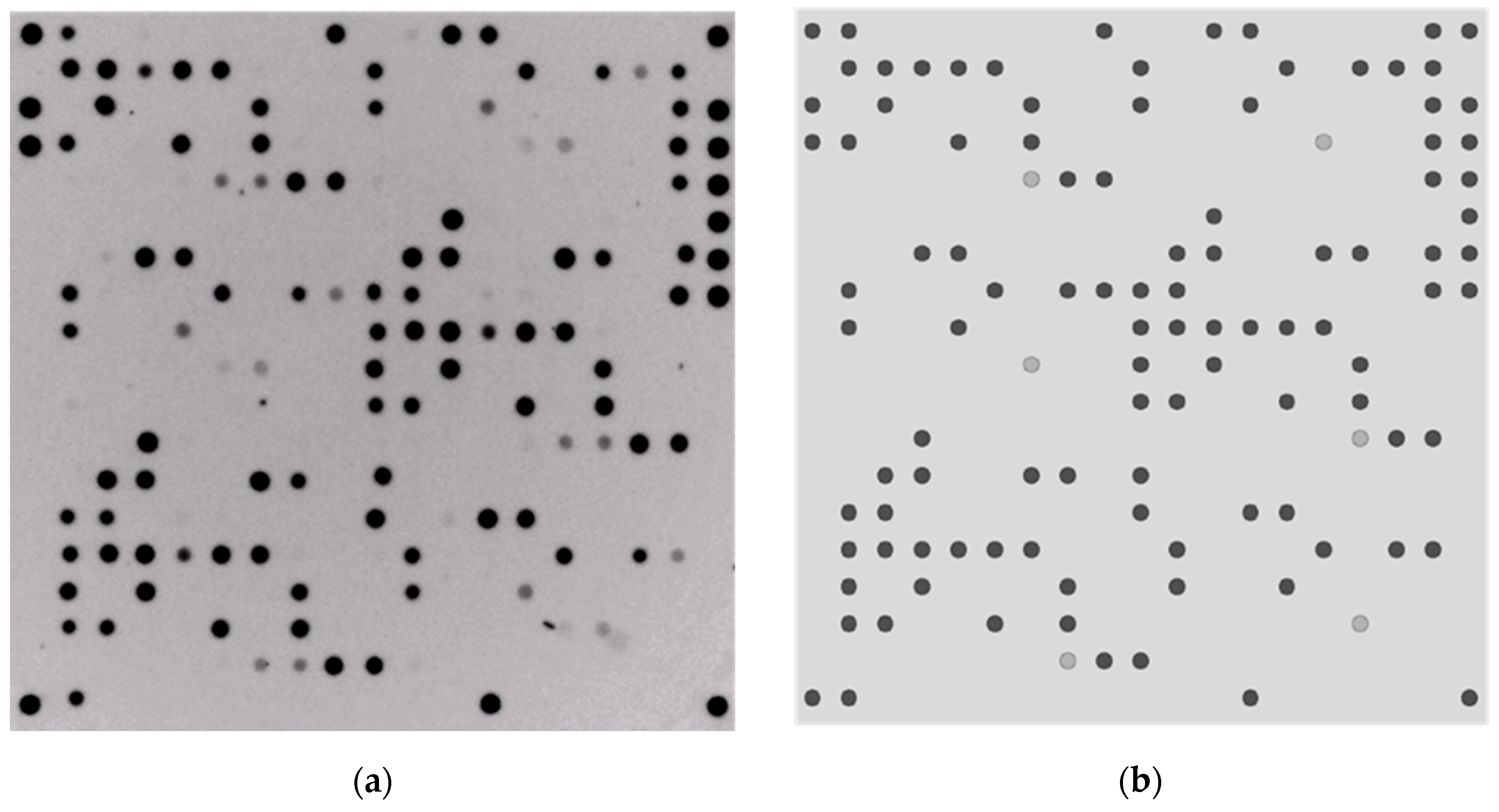 Sensors 24 06476 g001 Sensors 24 06476 g001