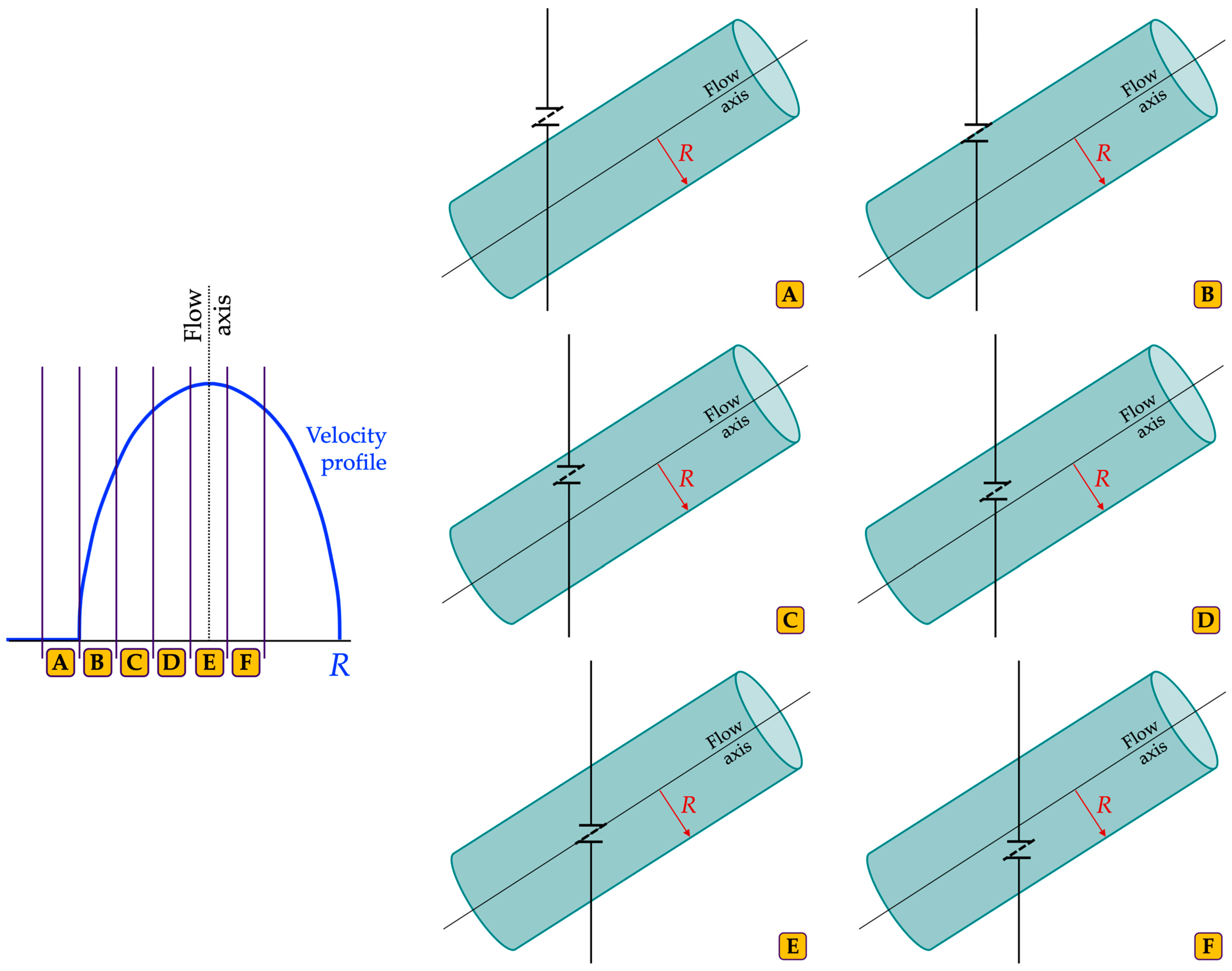Sensors 24 06491 g001