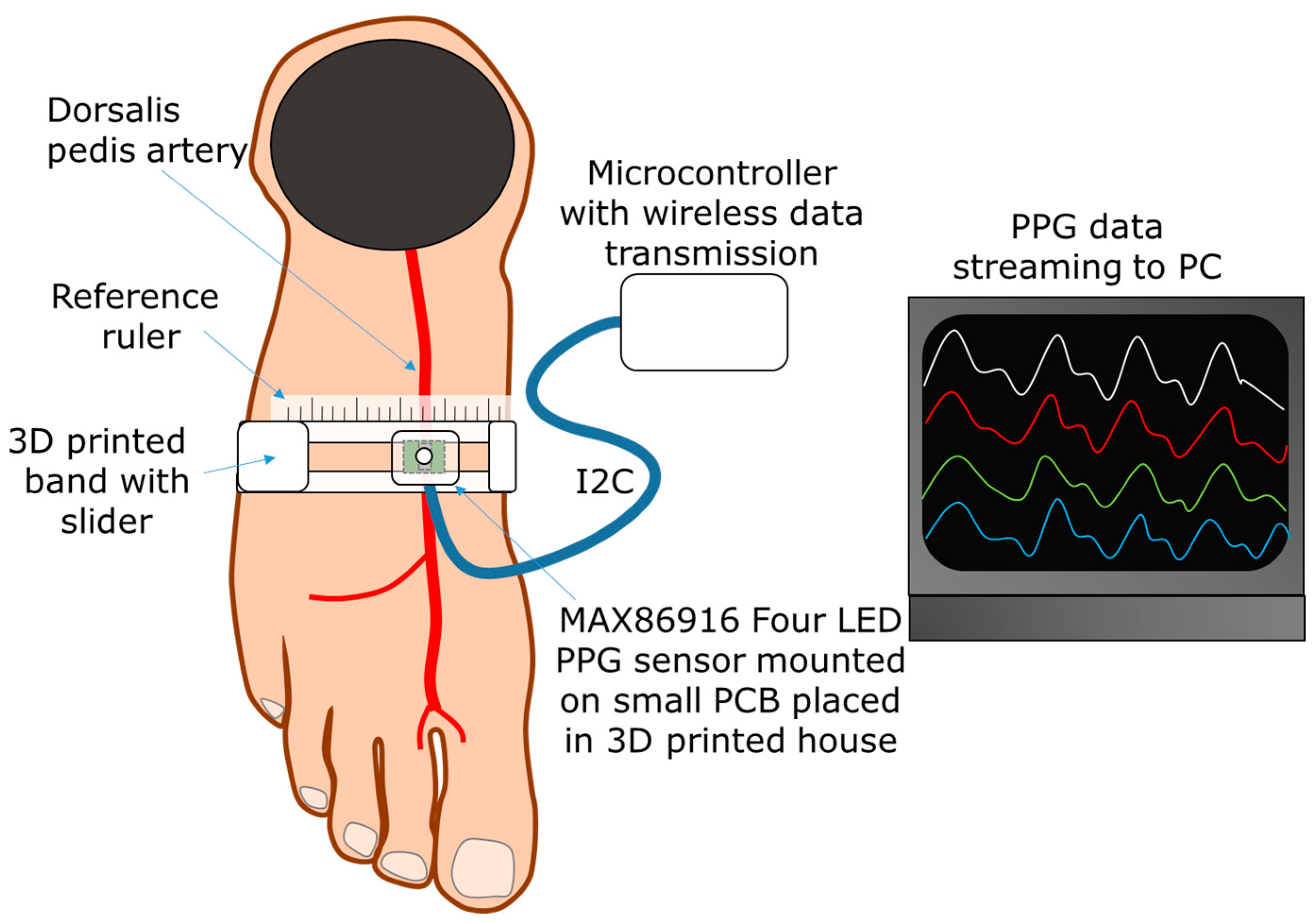 Sensors 24 06505 g001