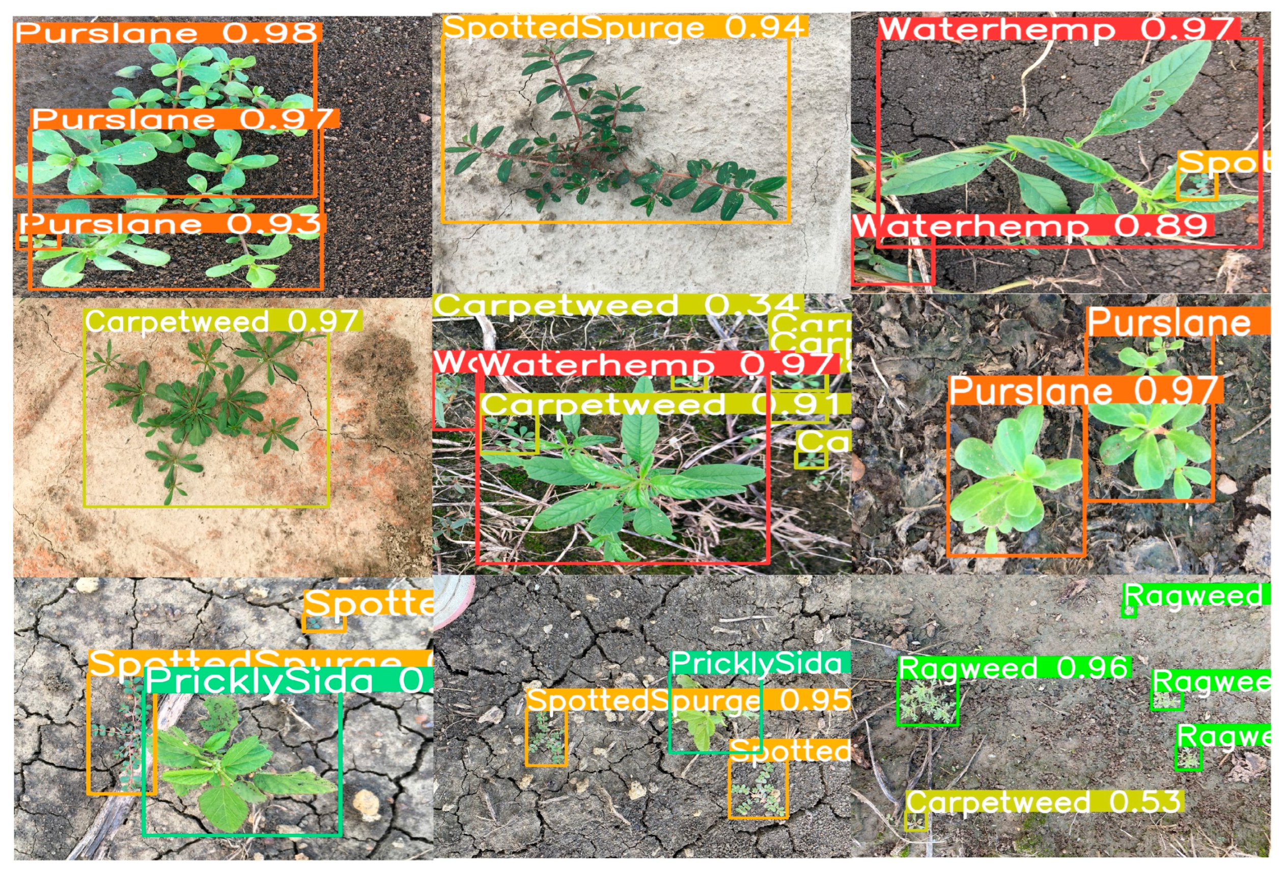 Sensors 24 06506 g011