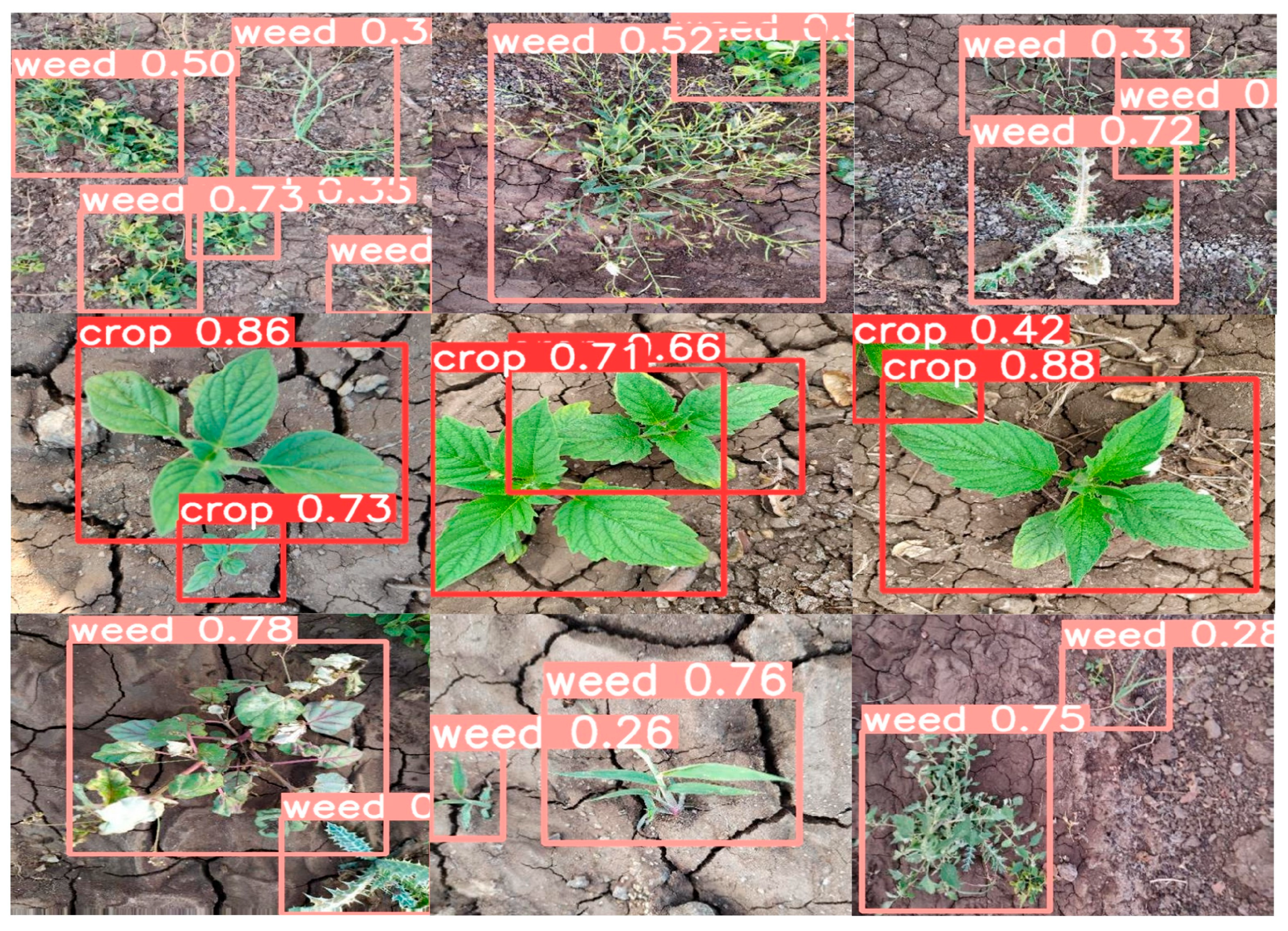 Sensors 24 06506 g013