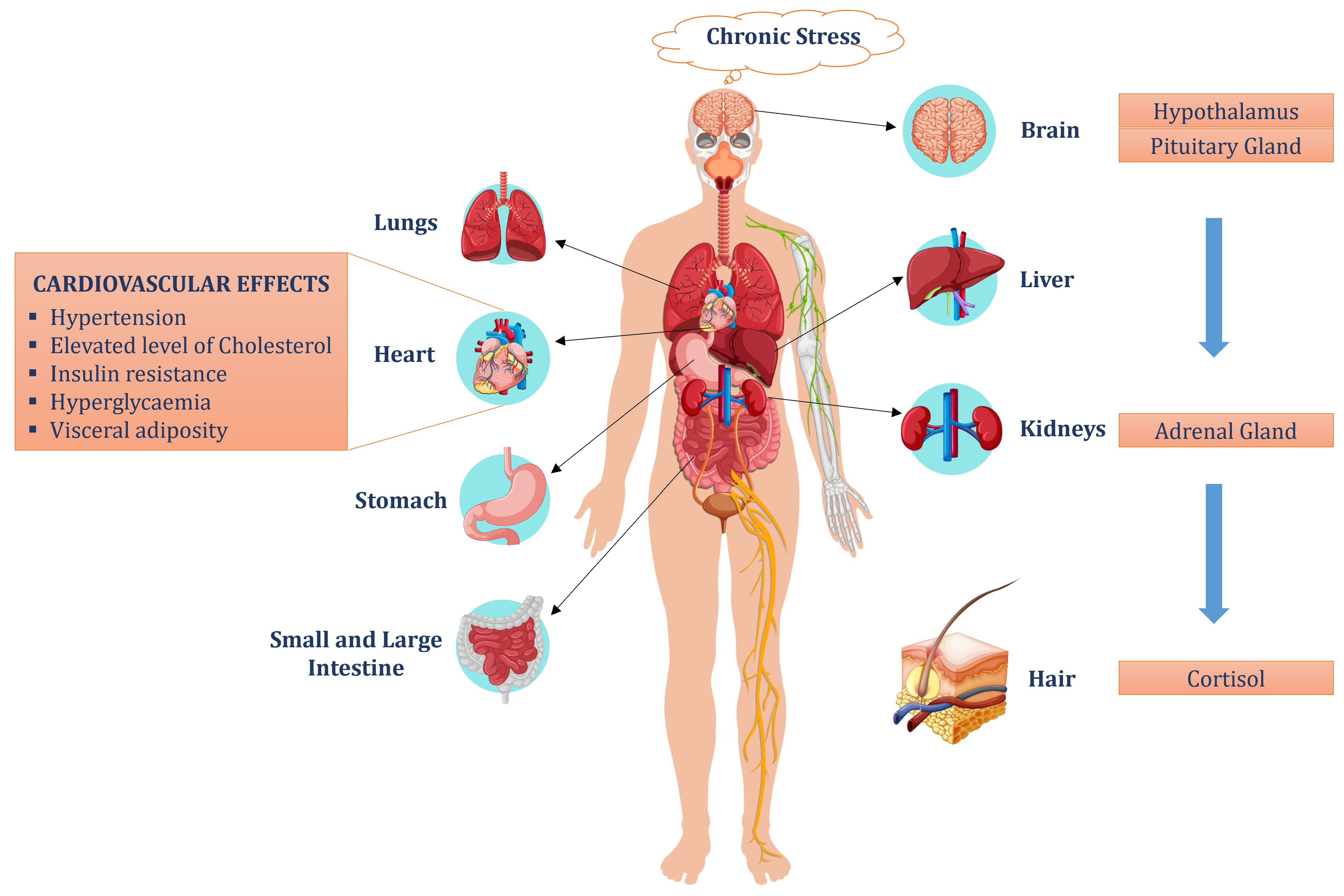 Sensors 24 06526 g002