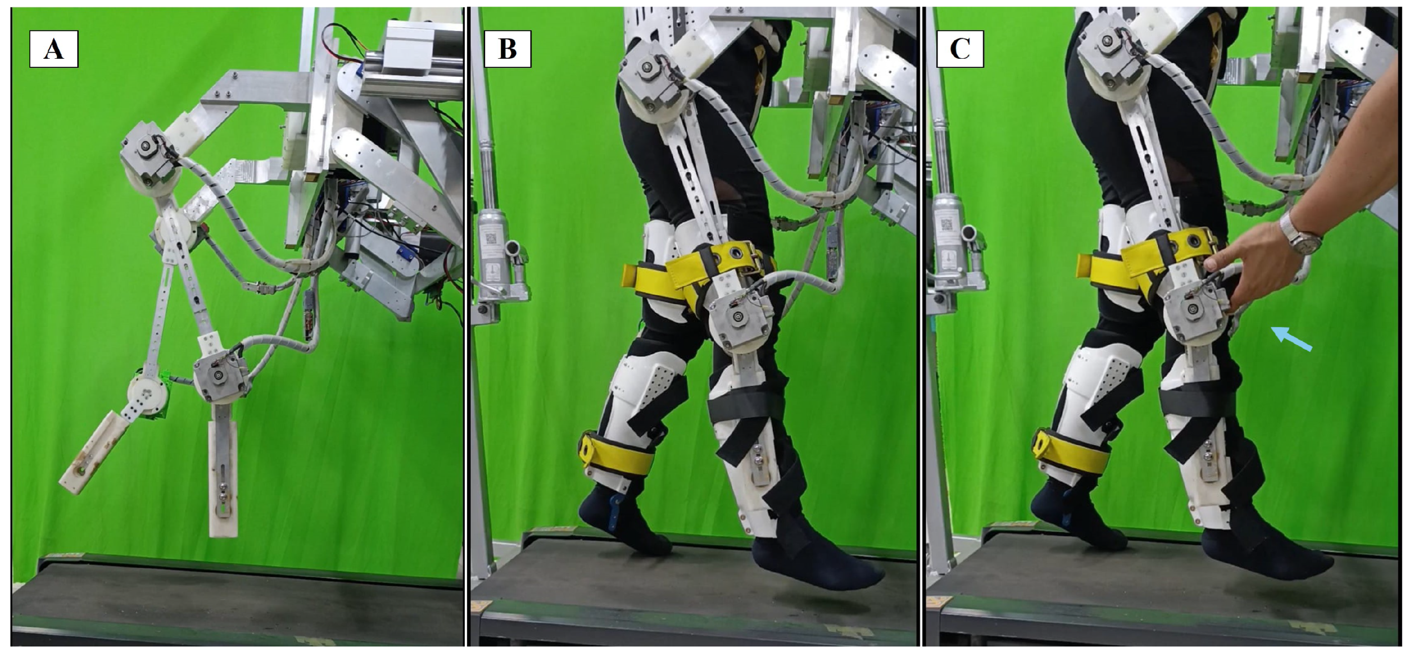 Sensors 24 06546 g007