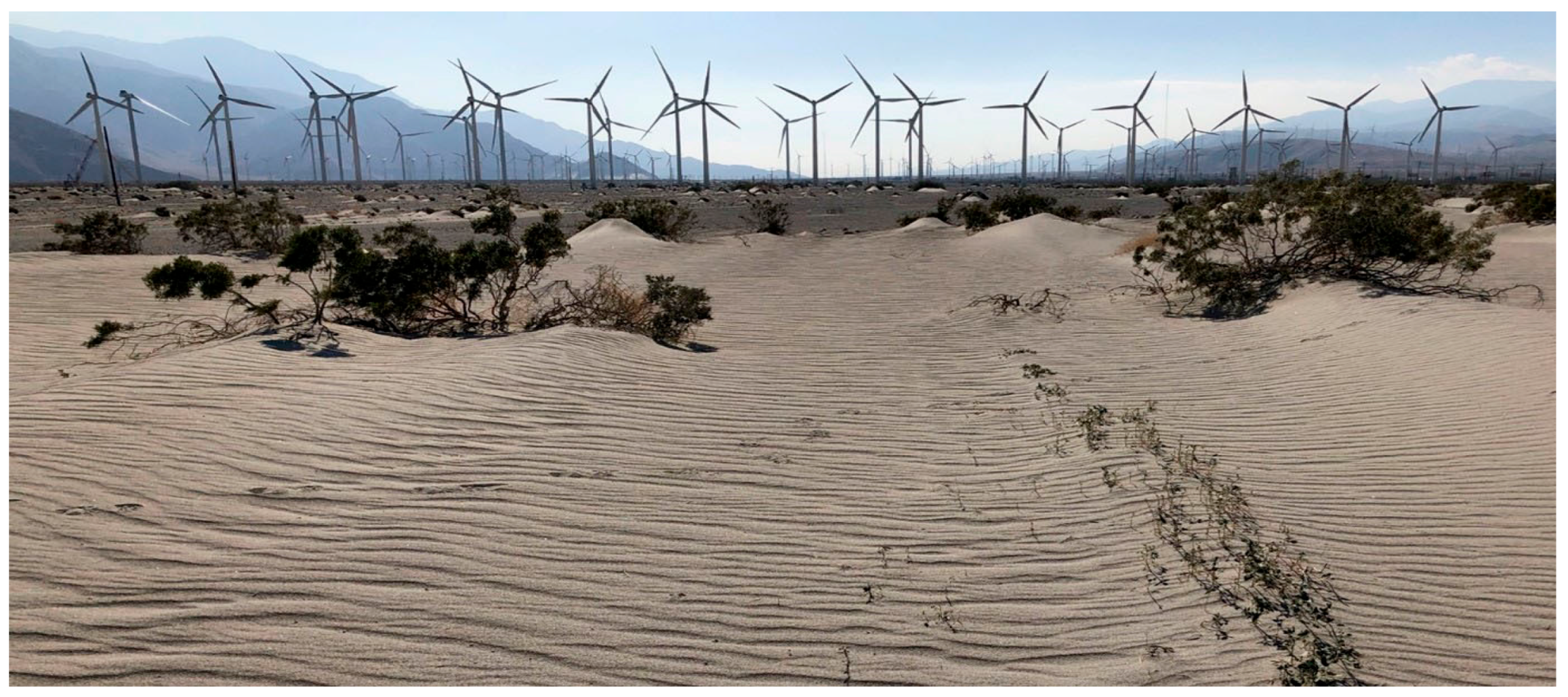 Sensors 24 06555 g001 Sensors 24 06555 g001