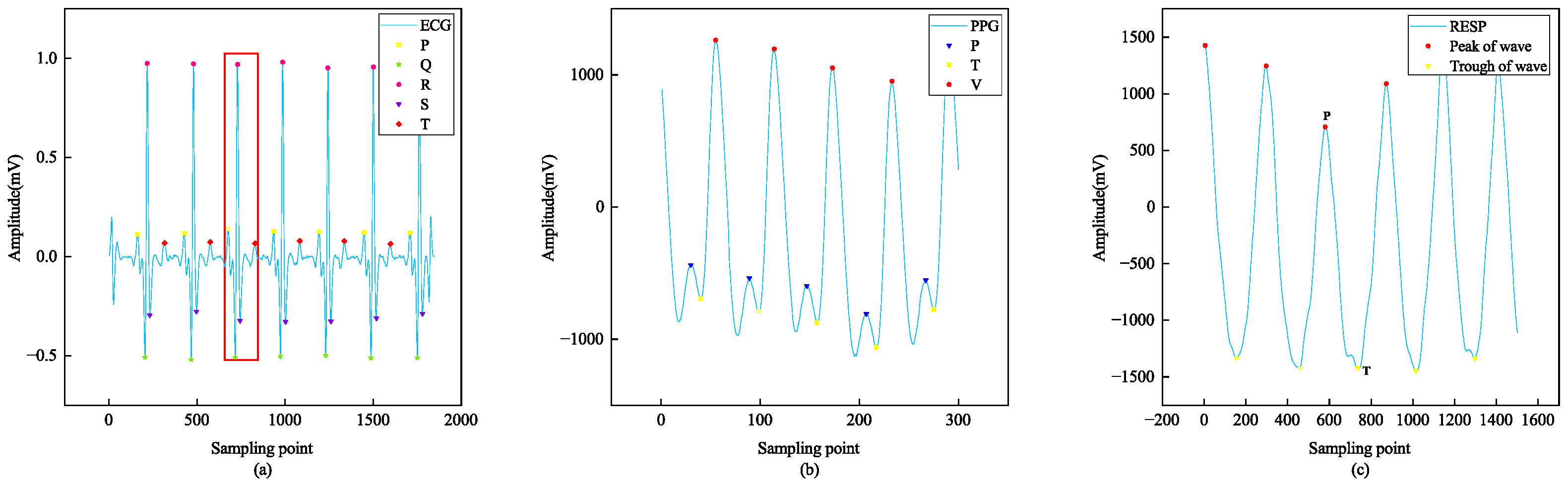 Sensors 24 06558 g006