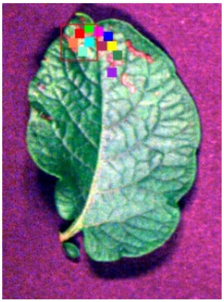 Sensors 24 06566 g003