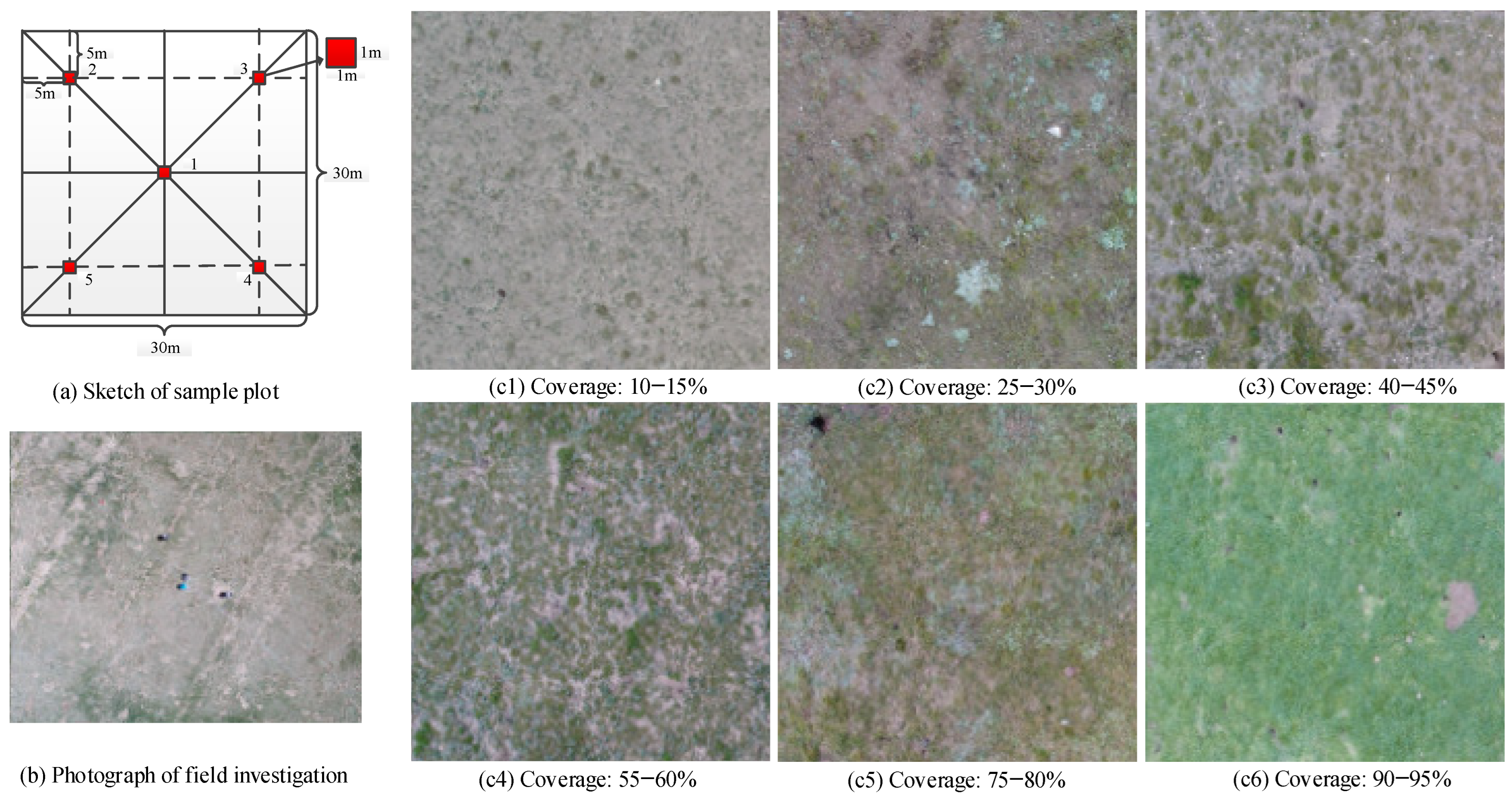 Sensors 24 06571 g002