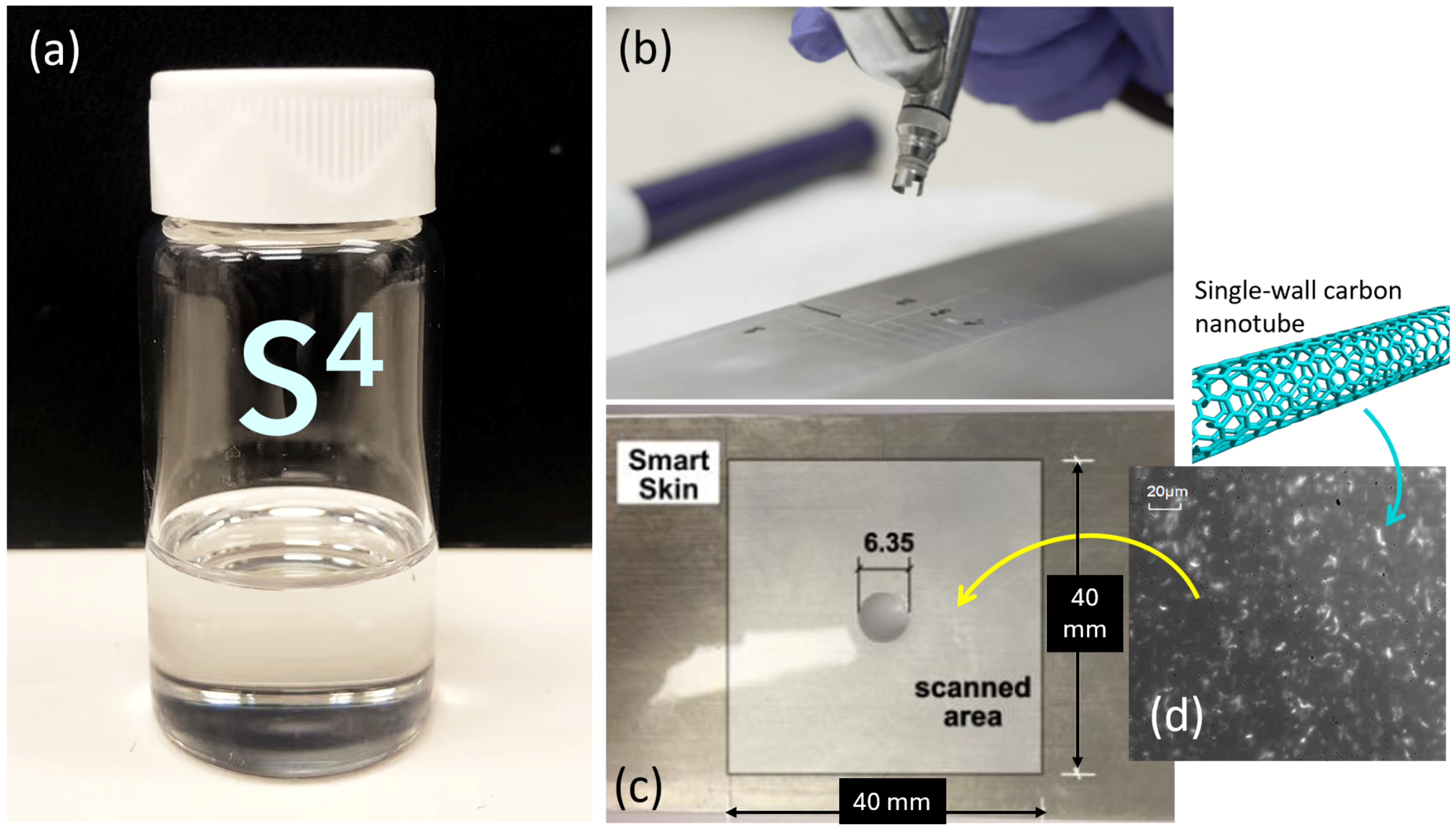 Sensors 24 06573 g002