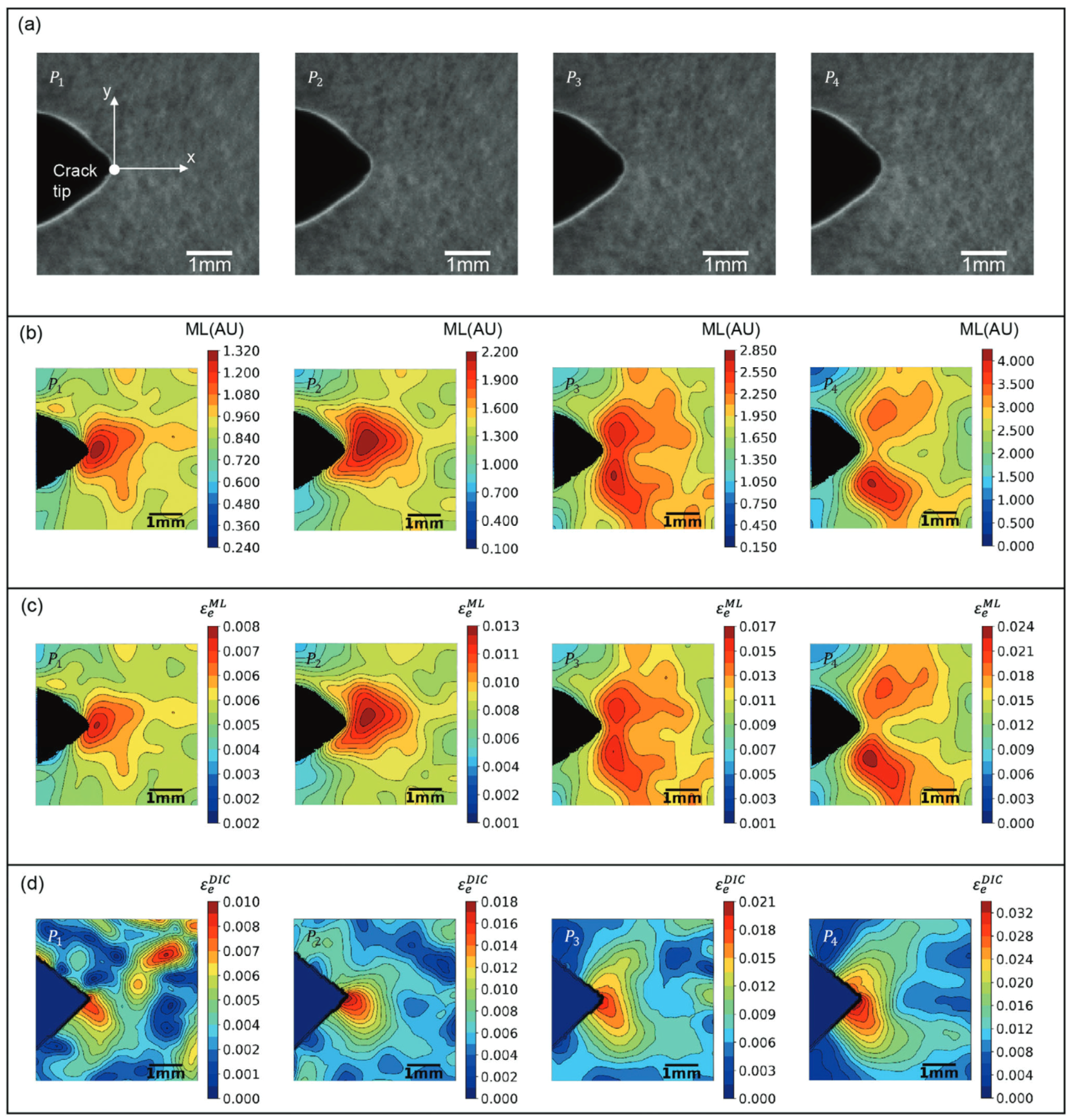 Sensors 24 06573 g016