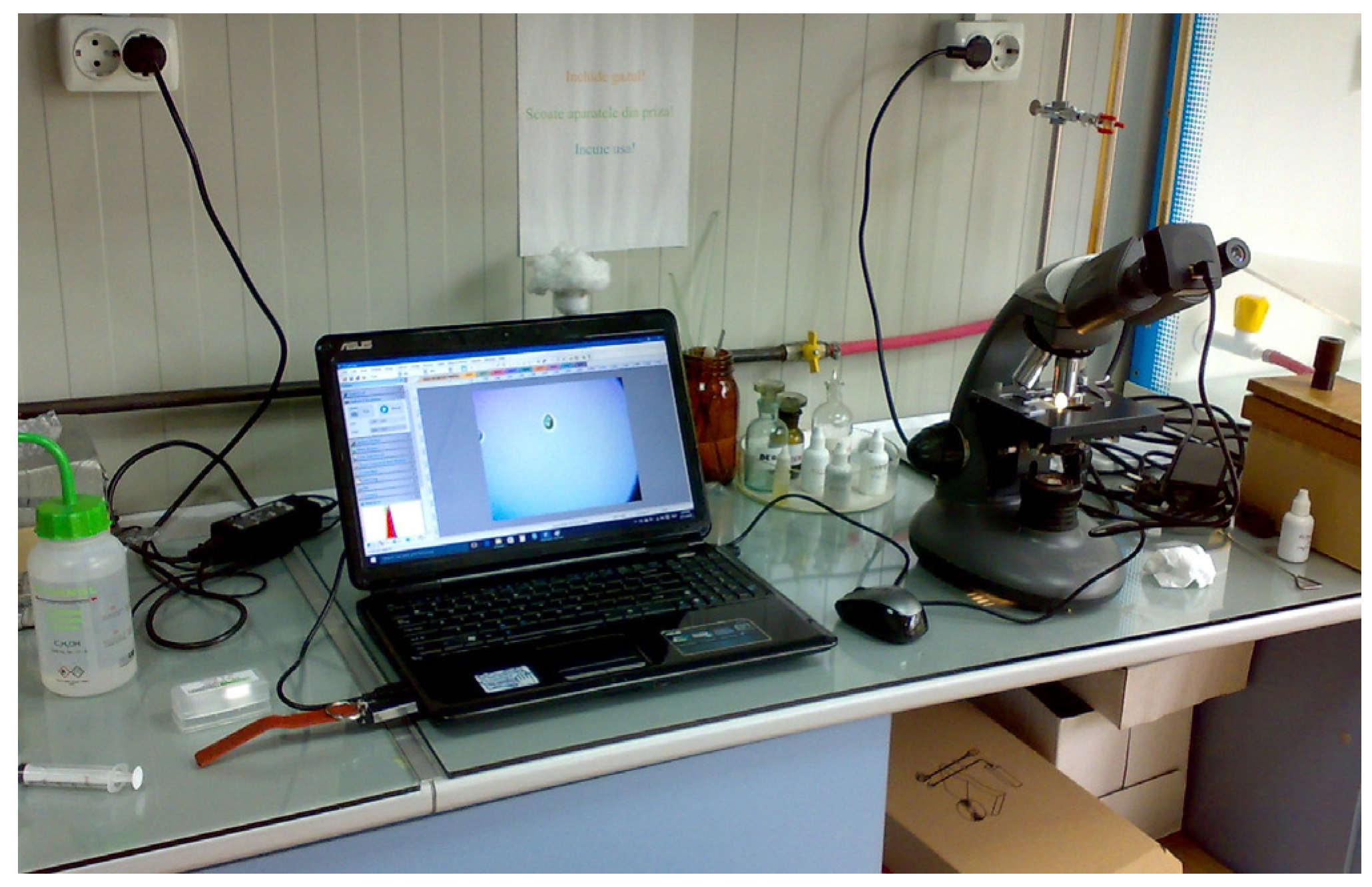 Sensors 24 06587 g019