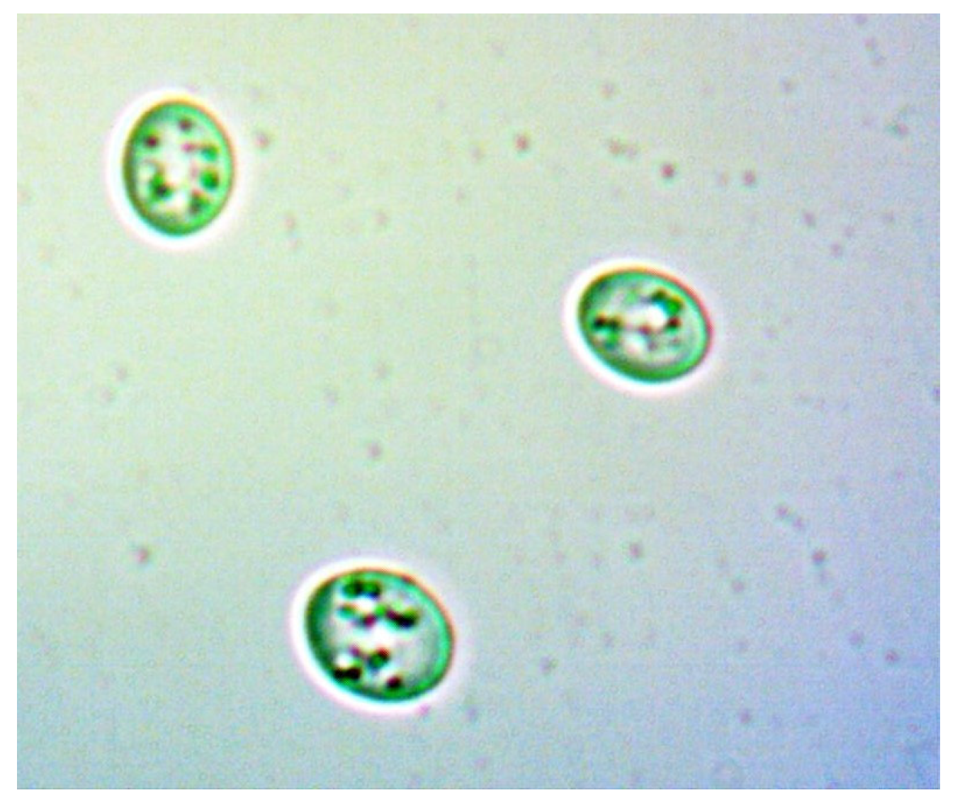 Sensors 24 06587 g021